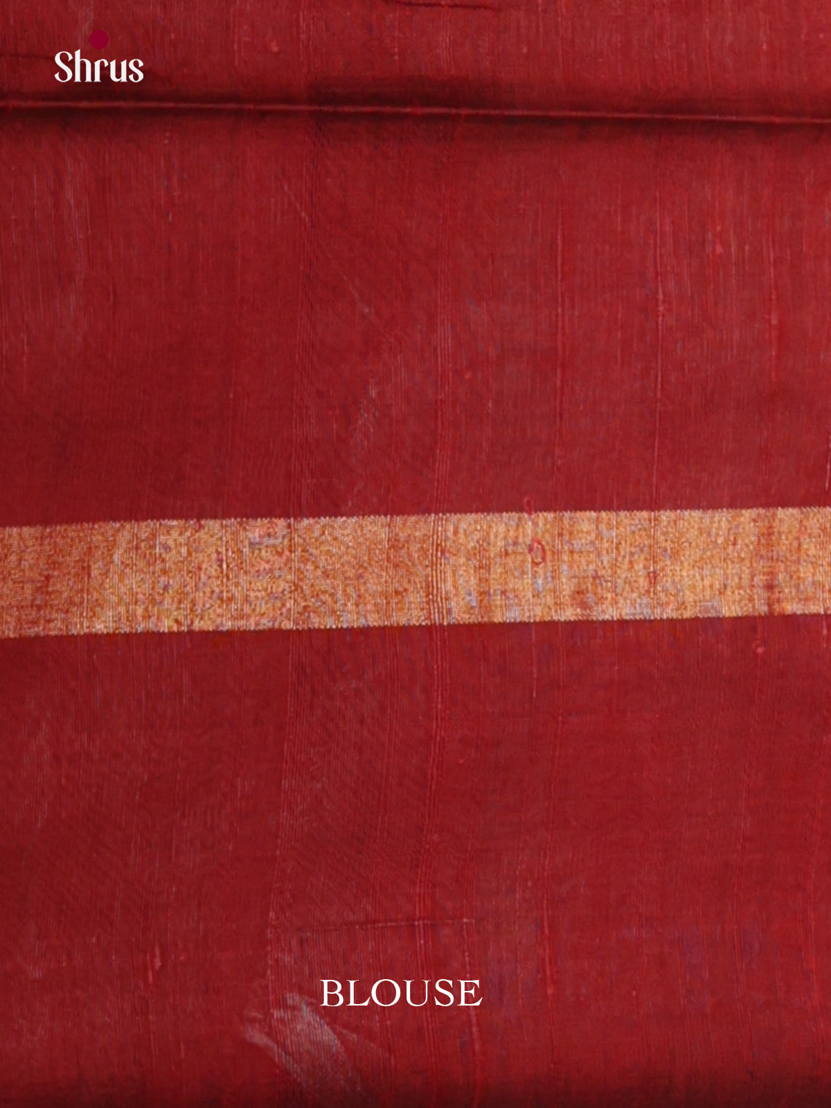 DLS30031 - Raw Silk Saree - Shop on Shrus.com