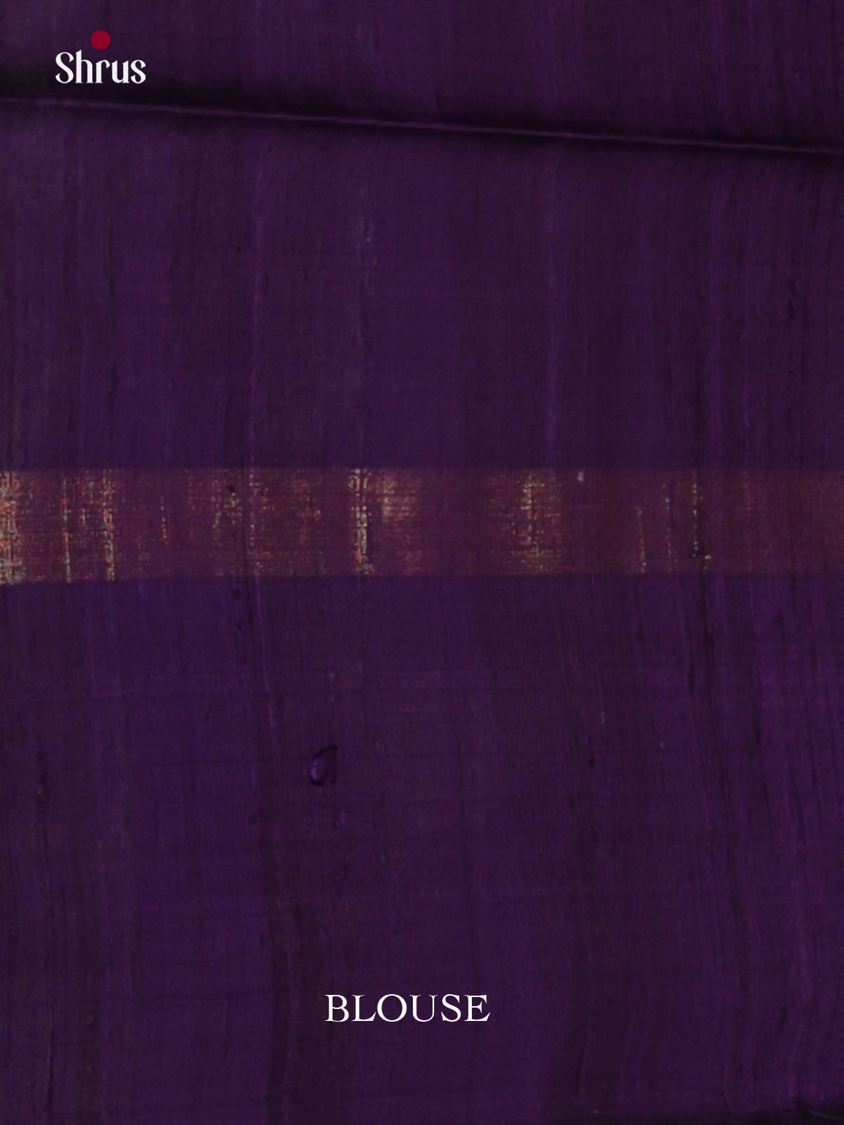 Grey & Blue Raw Silk Saree with contrast zari brocade pallu - DLS30032 - Shop on Shrus.com