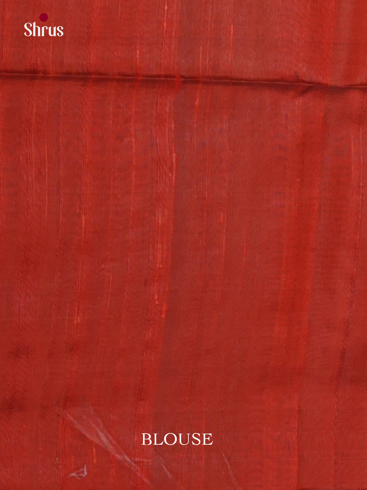 DLS30061 - Raw Silk Saree - Shop on Shrus.com