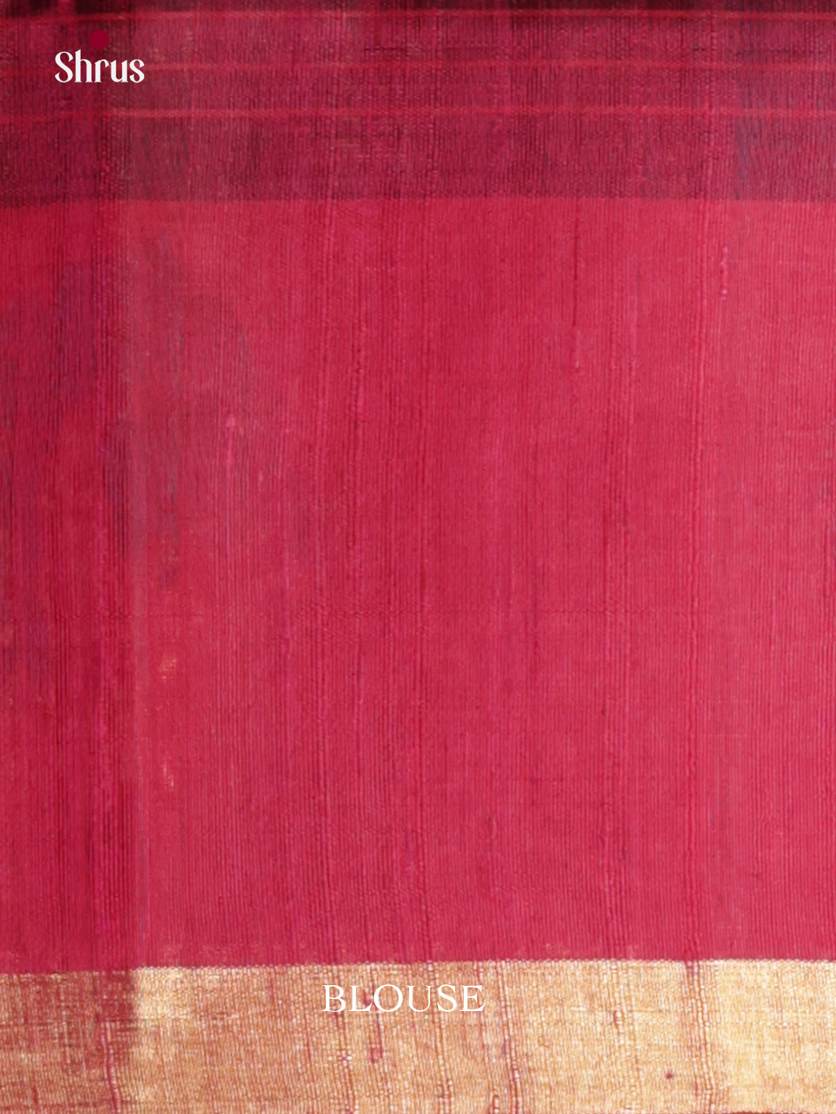 DLS30066 - Raw Silk Saree - Shop on Shrus.com