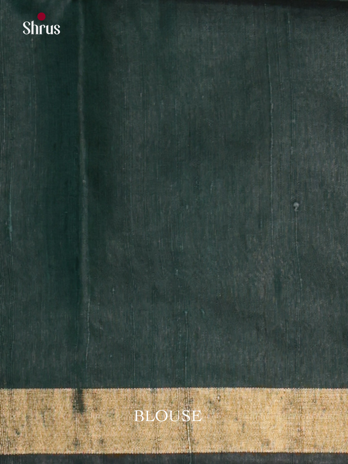 DLS30093 - Raw Silk Saree