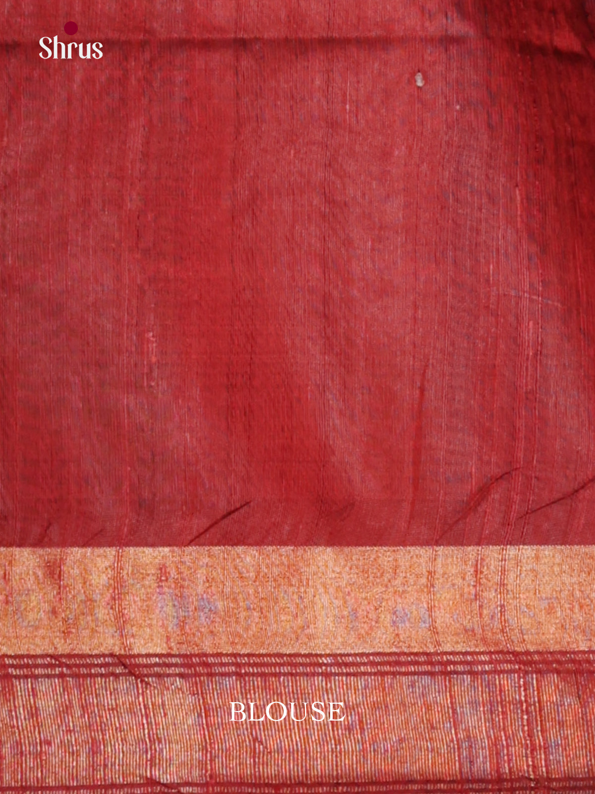 DLS30102 - Raw Silk Saree