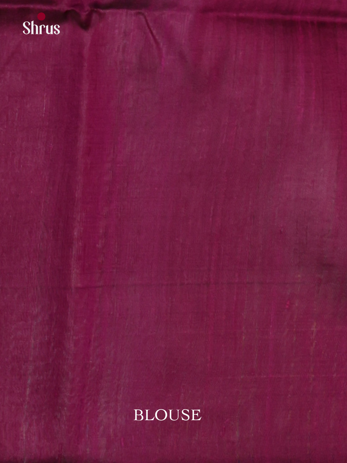 DLS30120 - Raw Silk Saree - Shop on Shrus.com