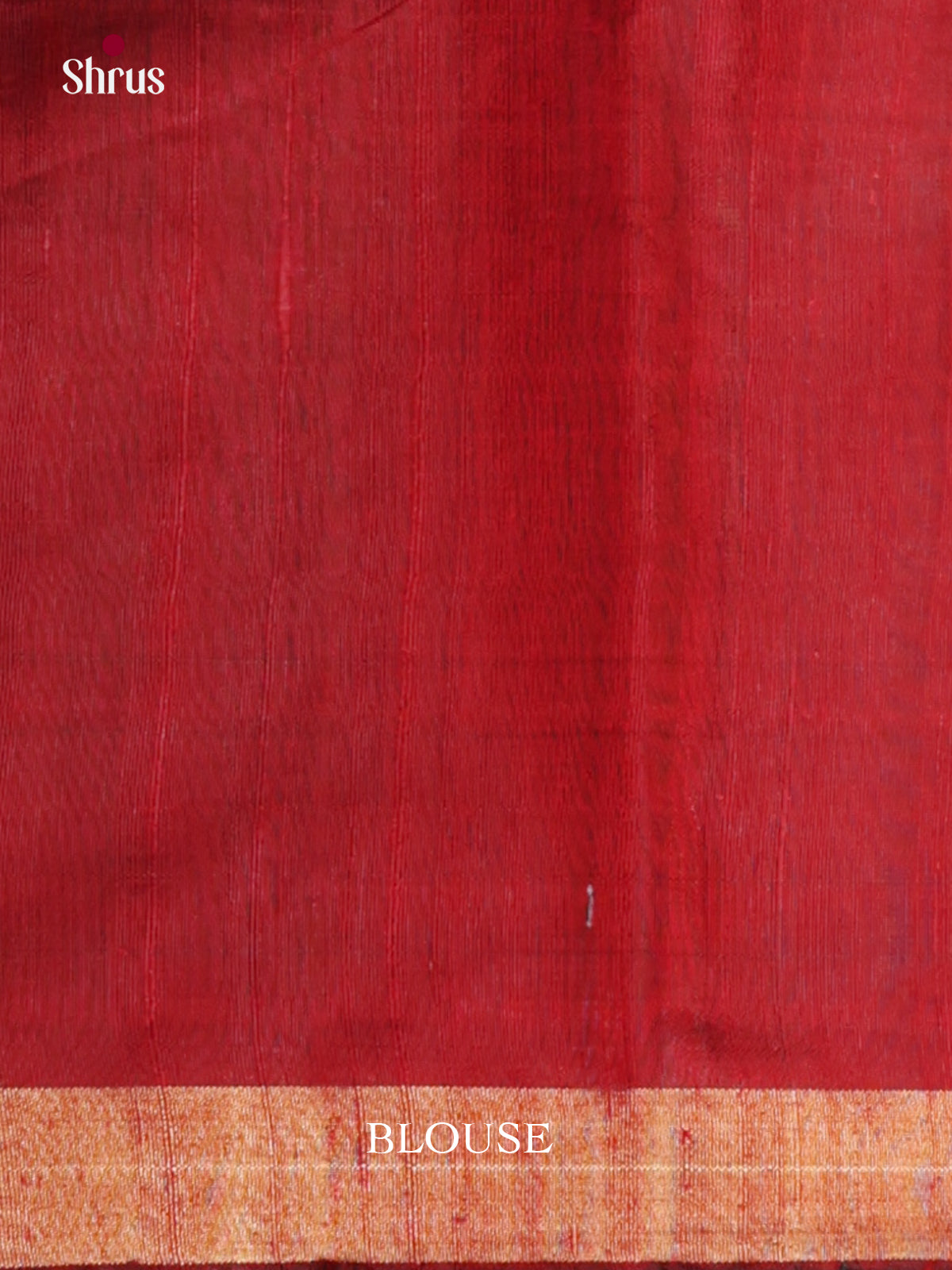 Vibrant Blue & Red Raw Silk Saree with contrast temple zari border - DLS30165