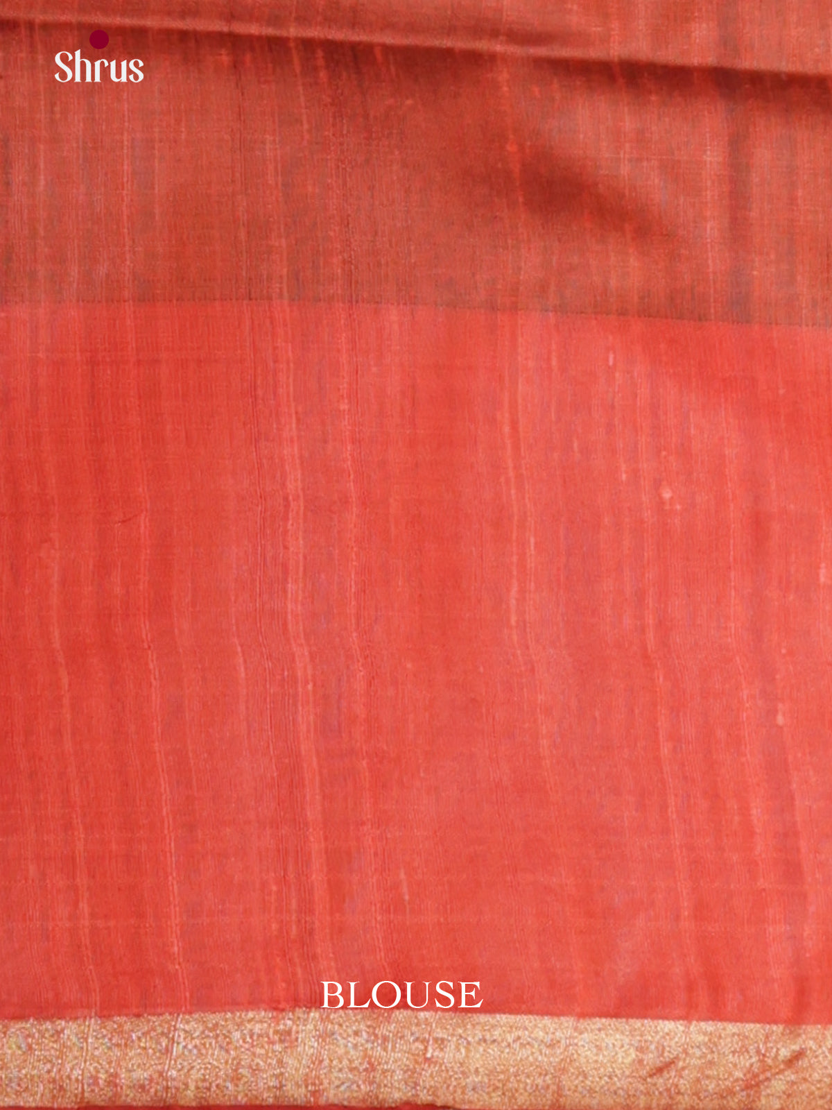 DLS30180 - Raw Silk Saree