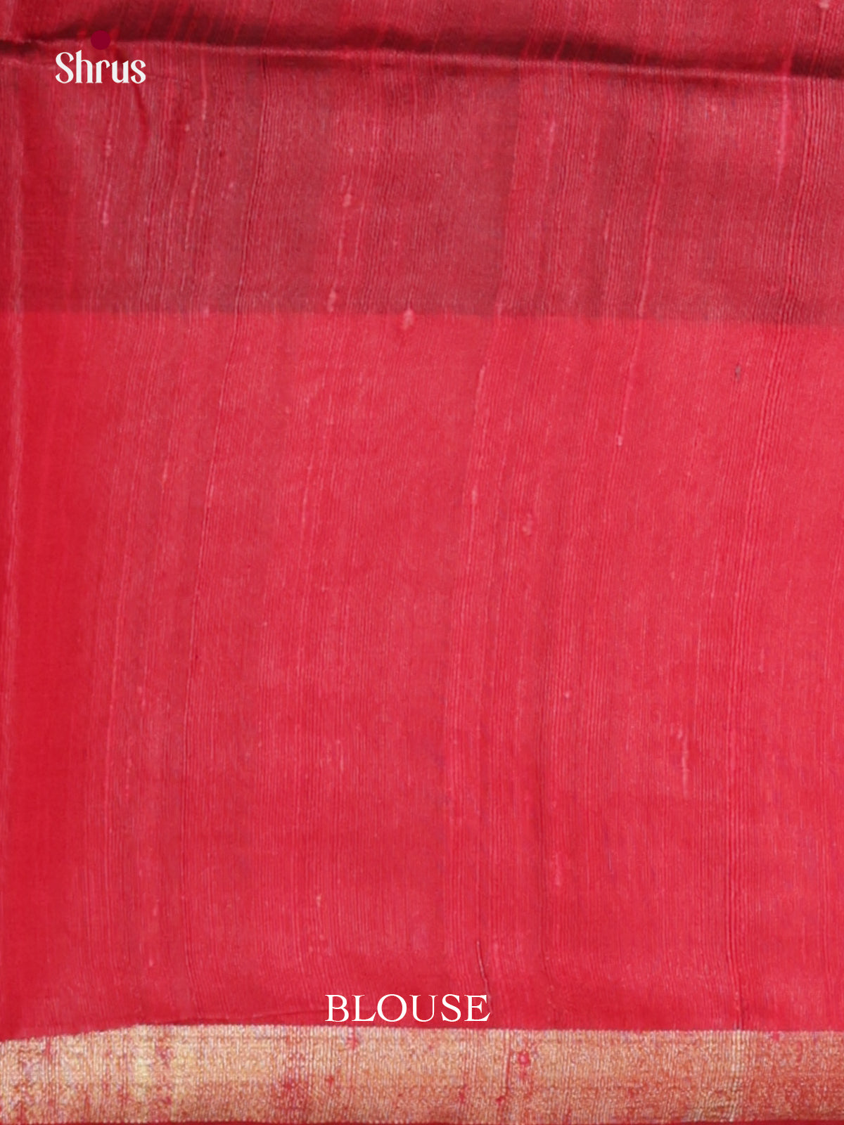 DLS30184 - Raw Silk Saree