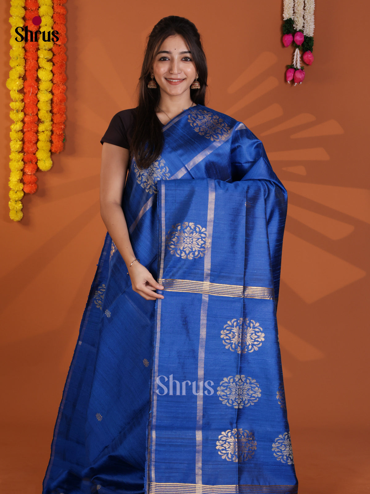 DLS30201 - Raw Silk Saree