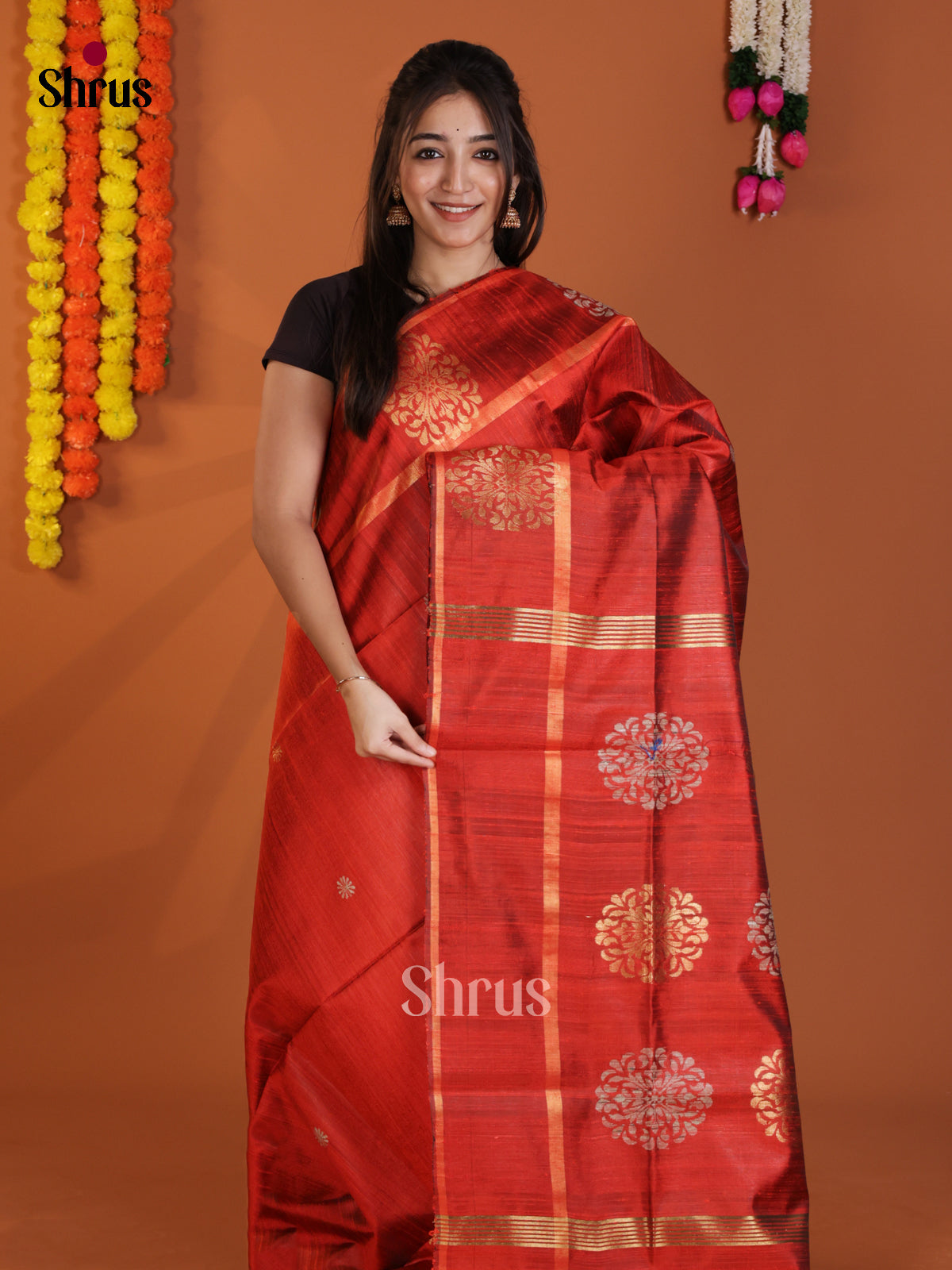 DLS30204 - Raw Silk Saree
