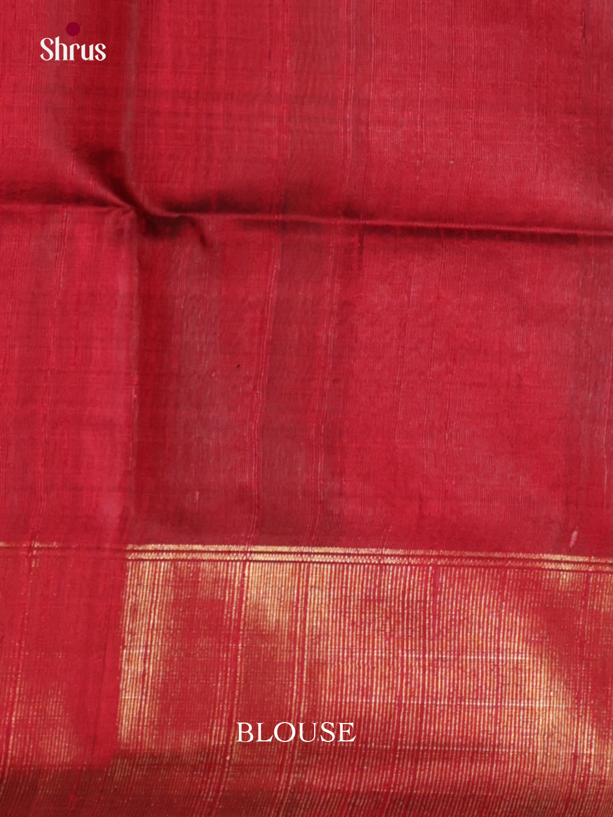 DLS30212 - Raw Silk Saree - Shop on Shrus.com