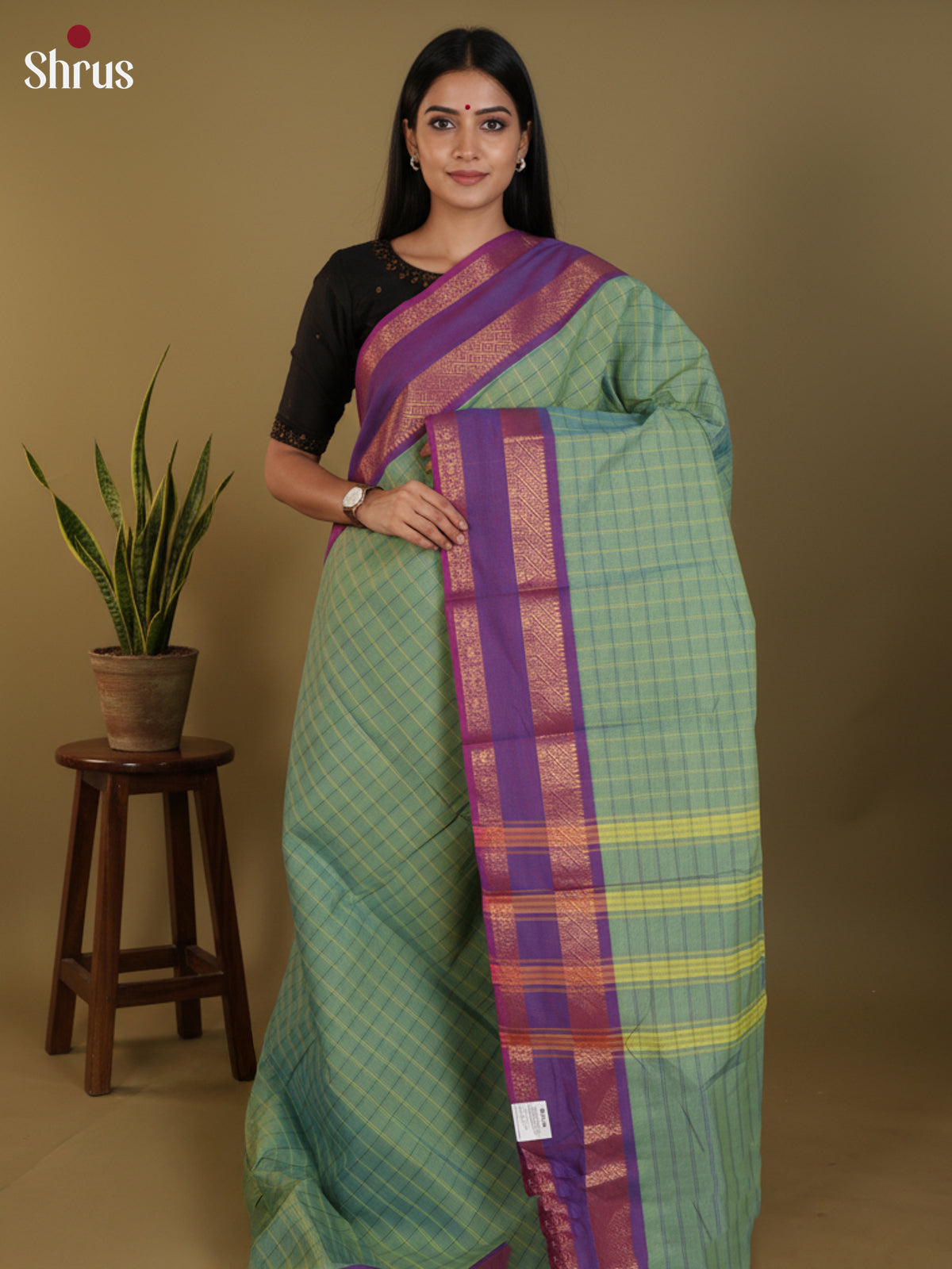 Pista Green & Purple - Chettinad Cotton Saree-DLS30247 - Shop on Shrus.com