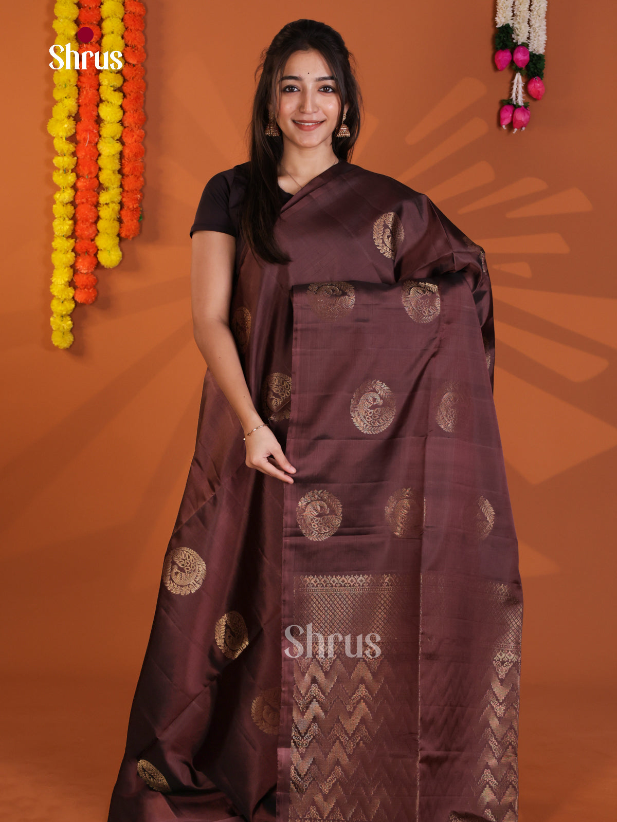Enchanting Brown Soft Silk Saree with zari peacock motifs - Shop on Shrus.com