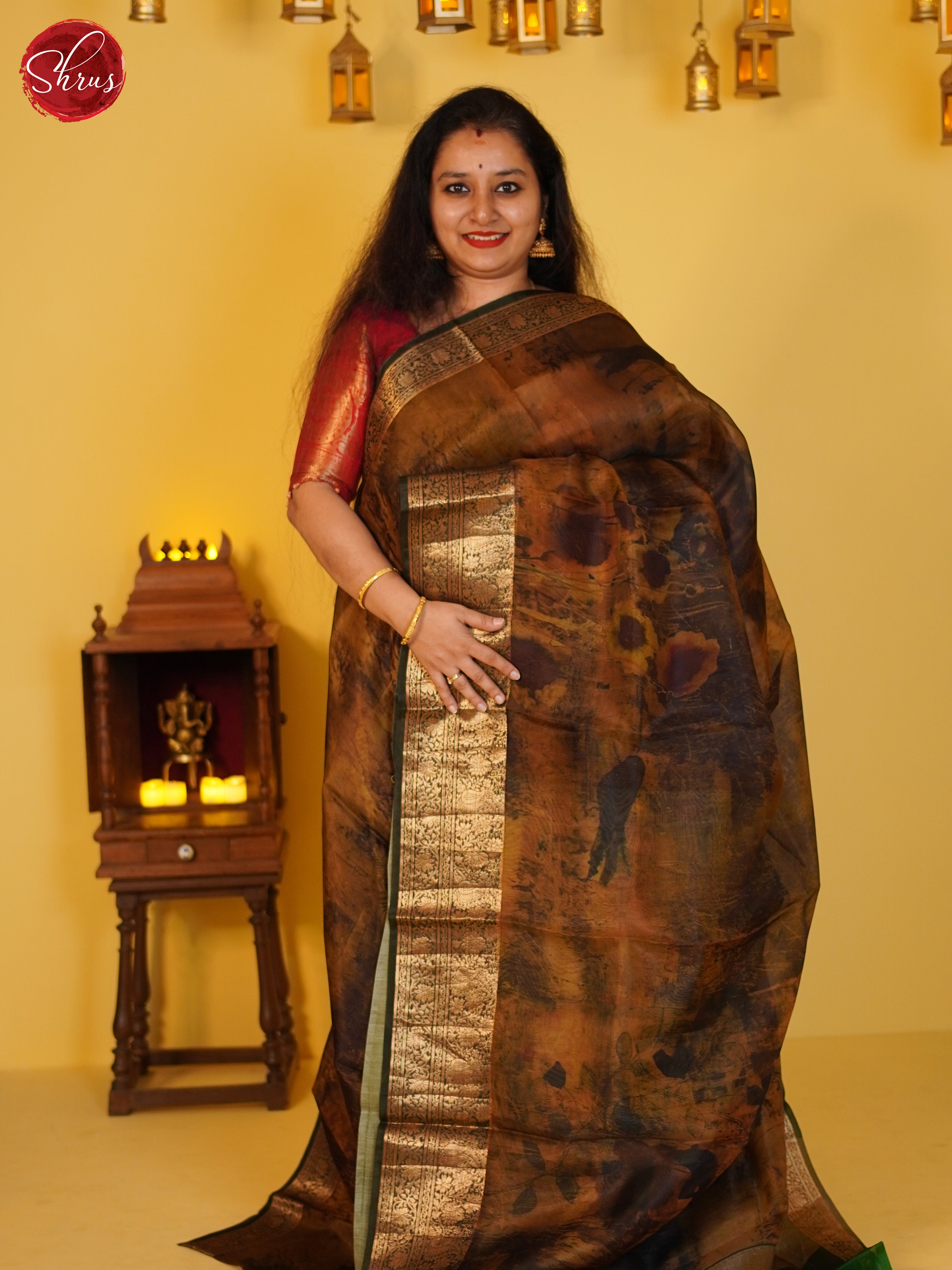 Brown & Green- Organza Saree - Shop on ShrusEternity.com