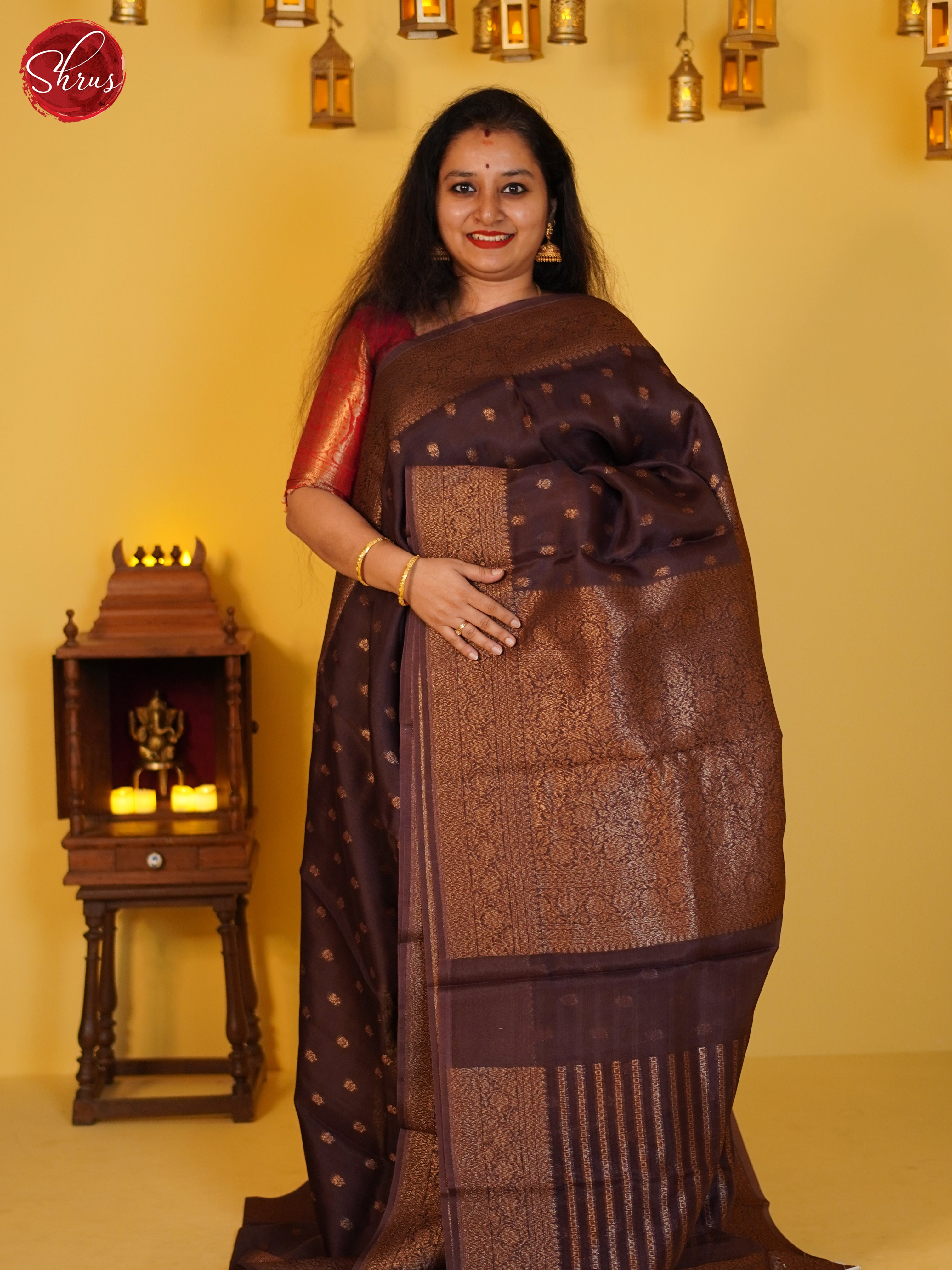 Brown(SIngle Tone) - Organza Saree - Shop on ShrusEternity.com