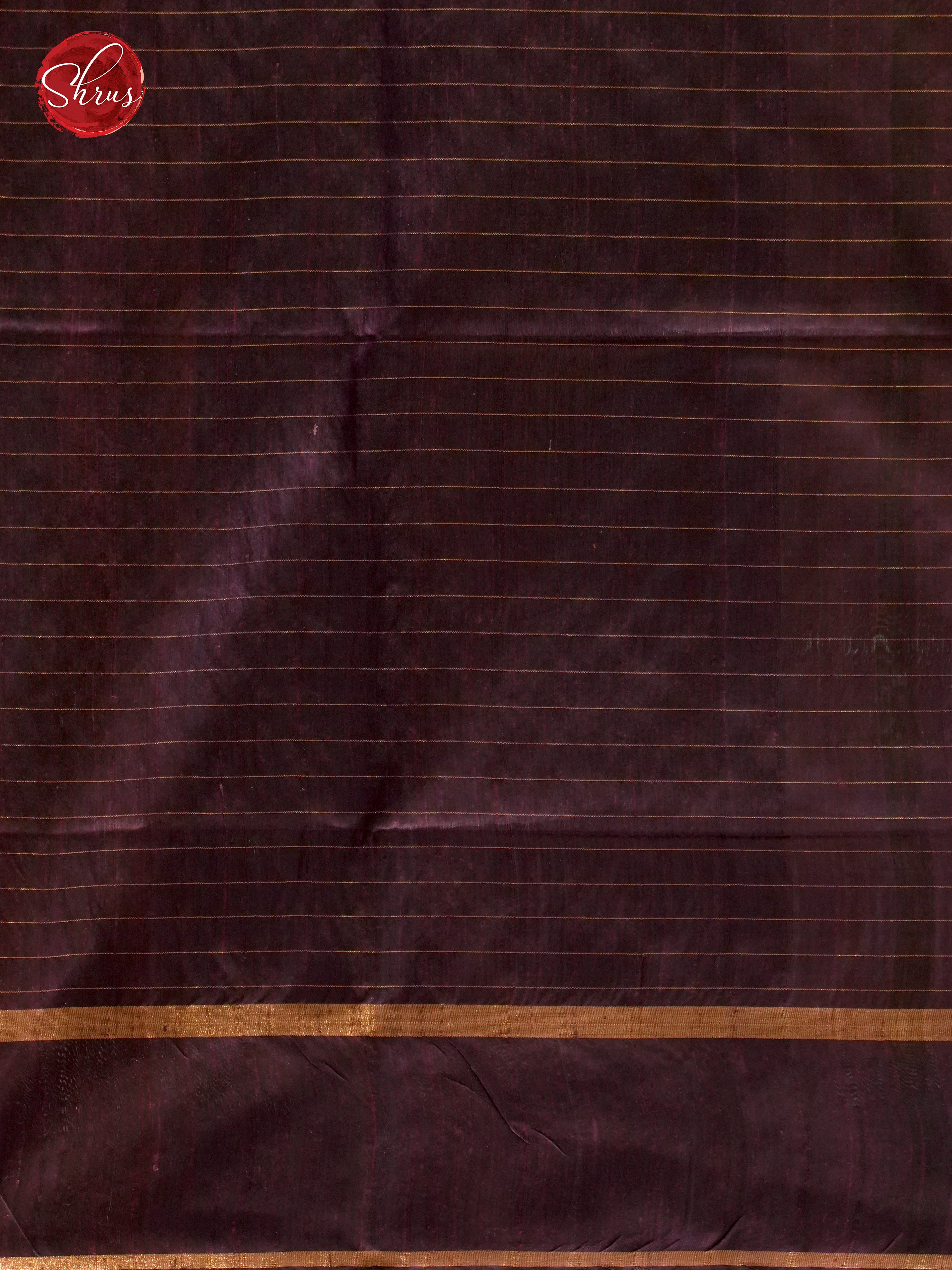 Gold & Brown - Raw Silk Saree - Shop on ShrusEternity.com