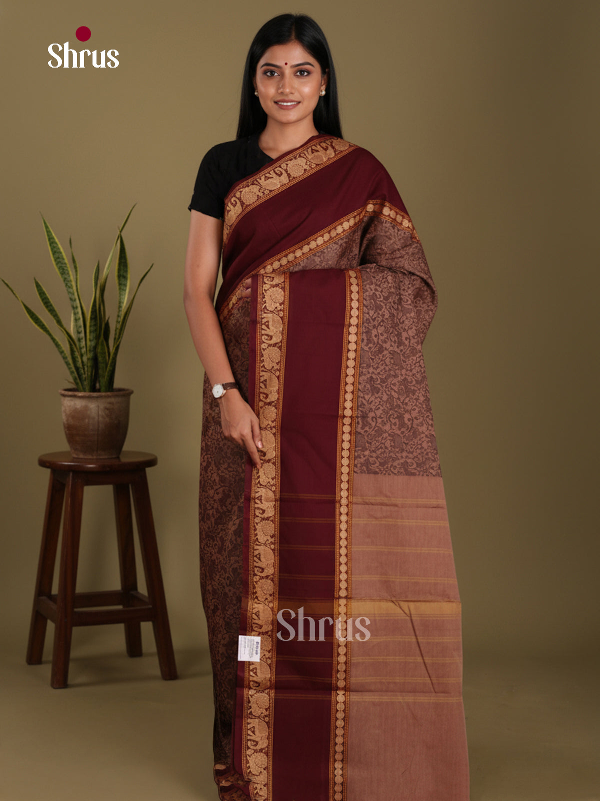 DJS24519 - Kanchi Cotton Saree