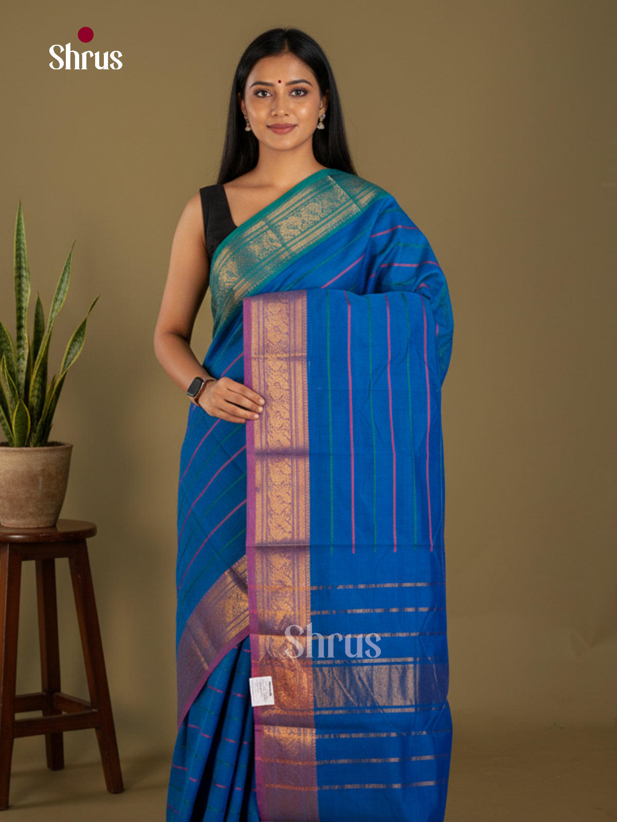 Blue & Purple - Chettinad Cotton Saree-EAS03003 - Shop on Shrus.com