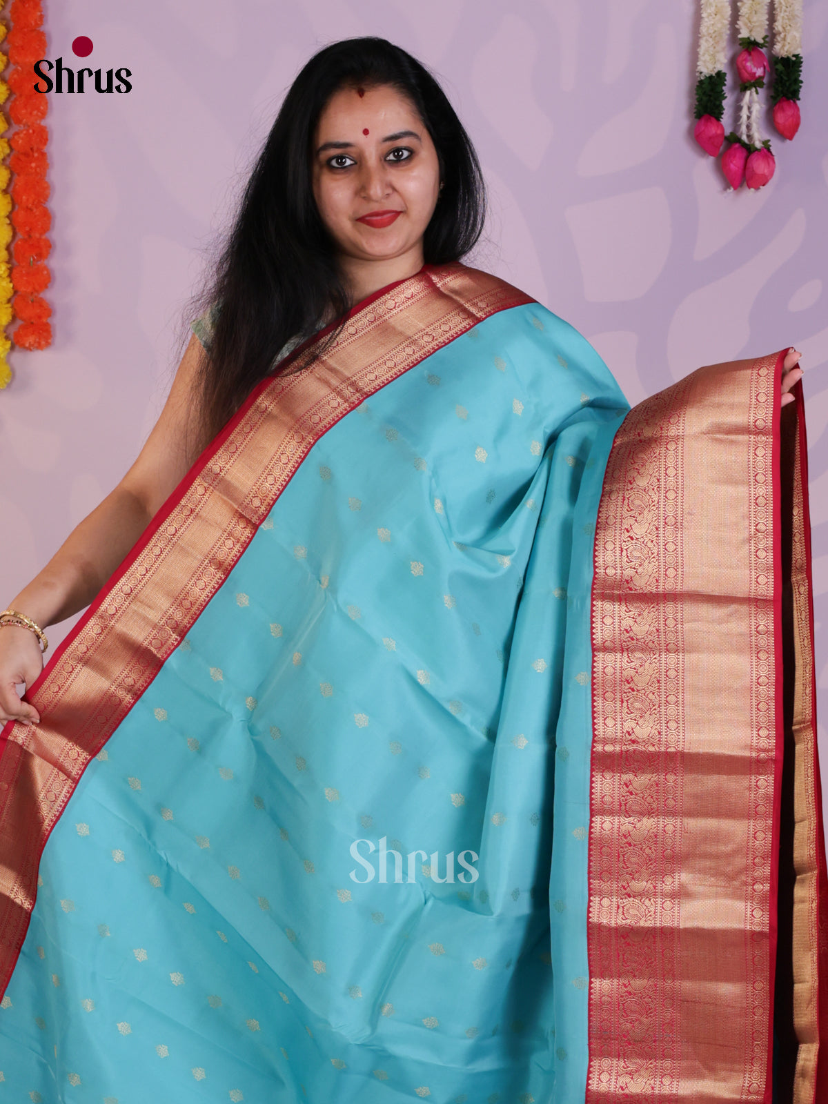 Sky Blue & Red - Kanchipuram-halfpure Saree- EAS08296 - Shop on Shrus.com