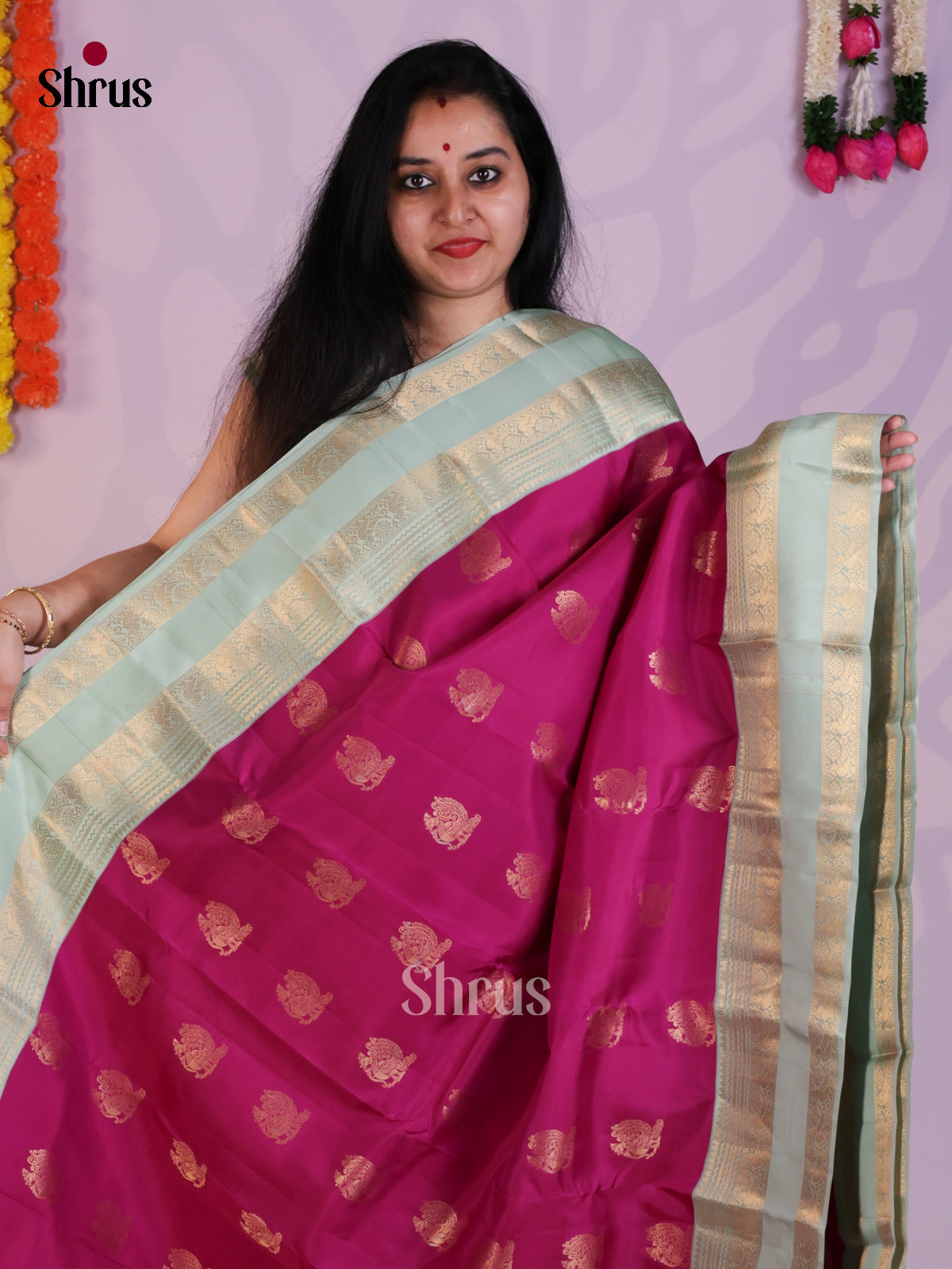 EAS08316 - Kanchipuram-halfpure Saree - Shop on Shrus.com