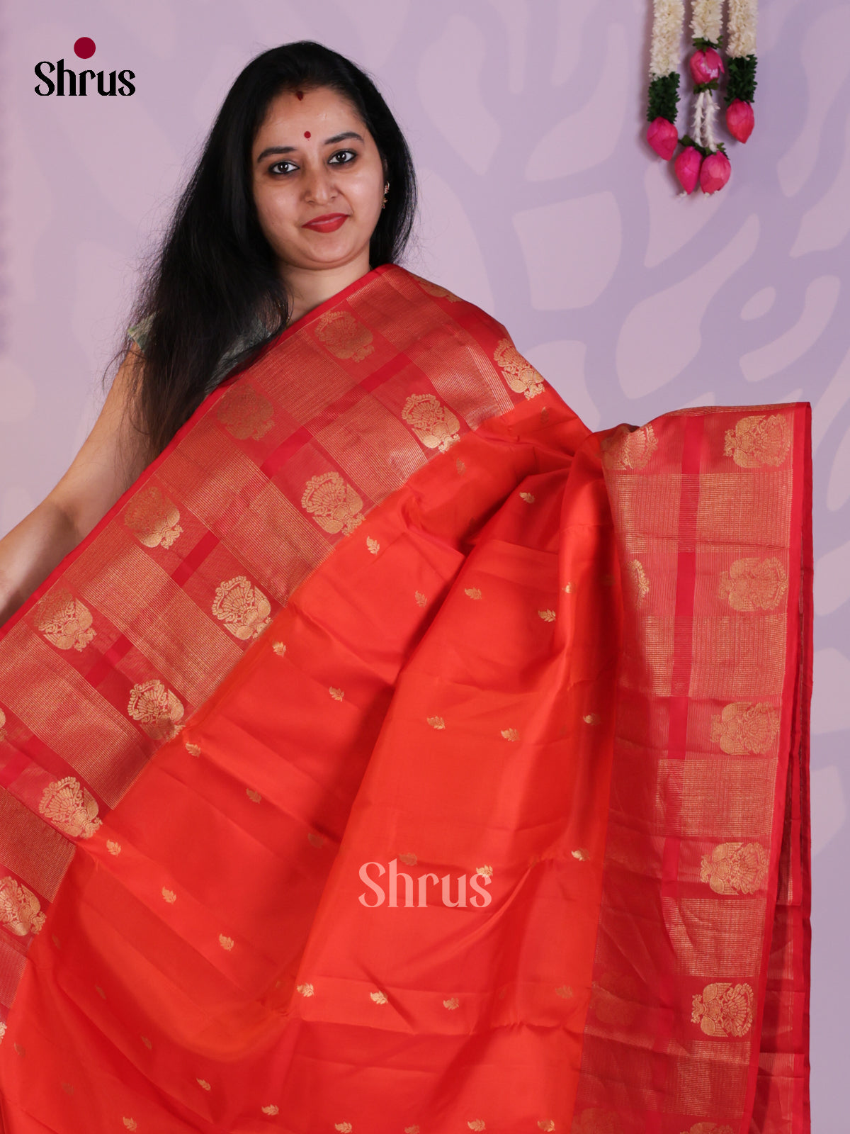 EAS08341 - Kanchipuram-halfpure Saree - Shop on Shrus.com
