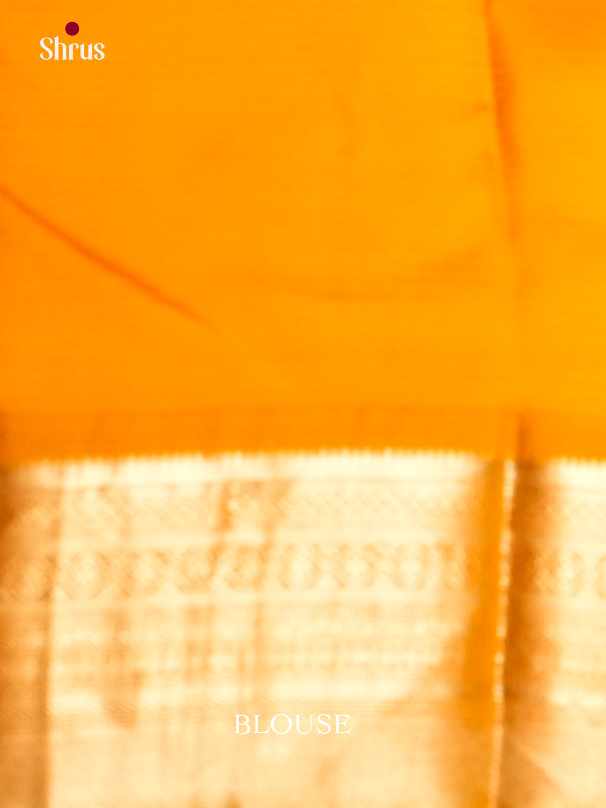 EAS10068 - Kanchipuram silk Saree