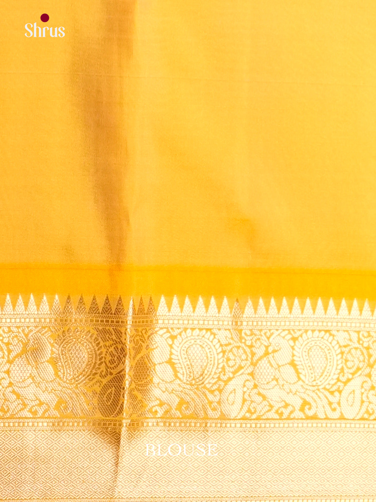 EAS10070 - Kanchipuram silk Saree
