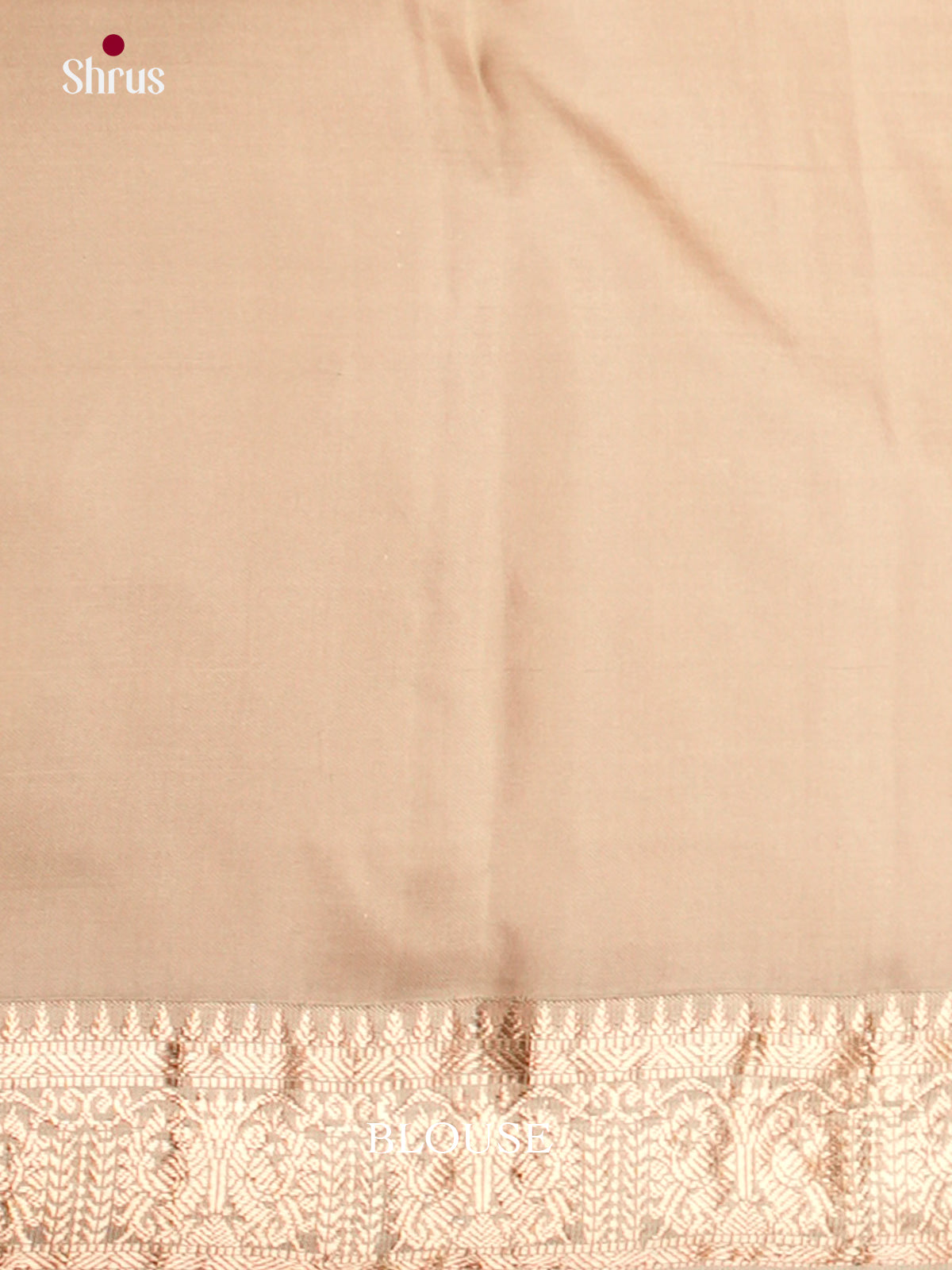 EAS10074 - Kanchipuram silk Saree