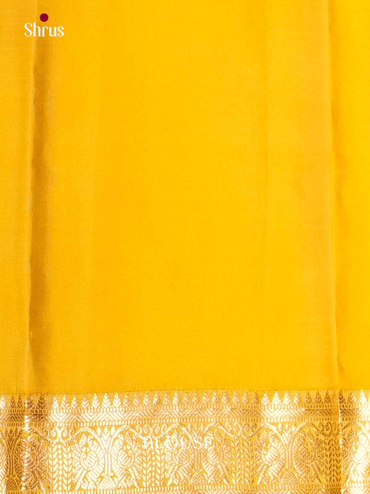 EAS10083 - Kanchipuram silk Saree - Shop on Shrus.com