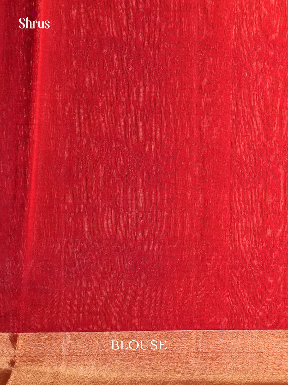 Blue & Red - Timeless Silk Cotton Saree -EAS12013