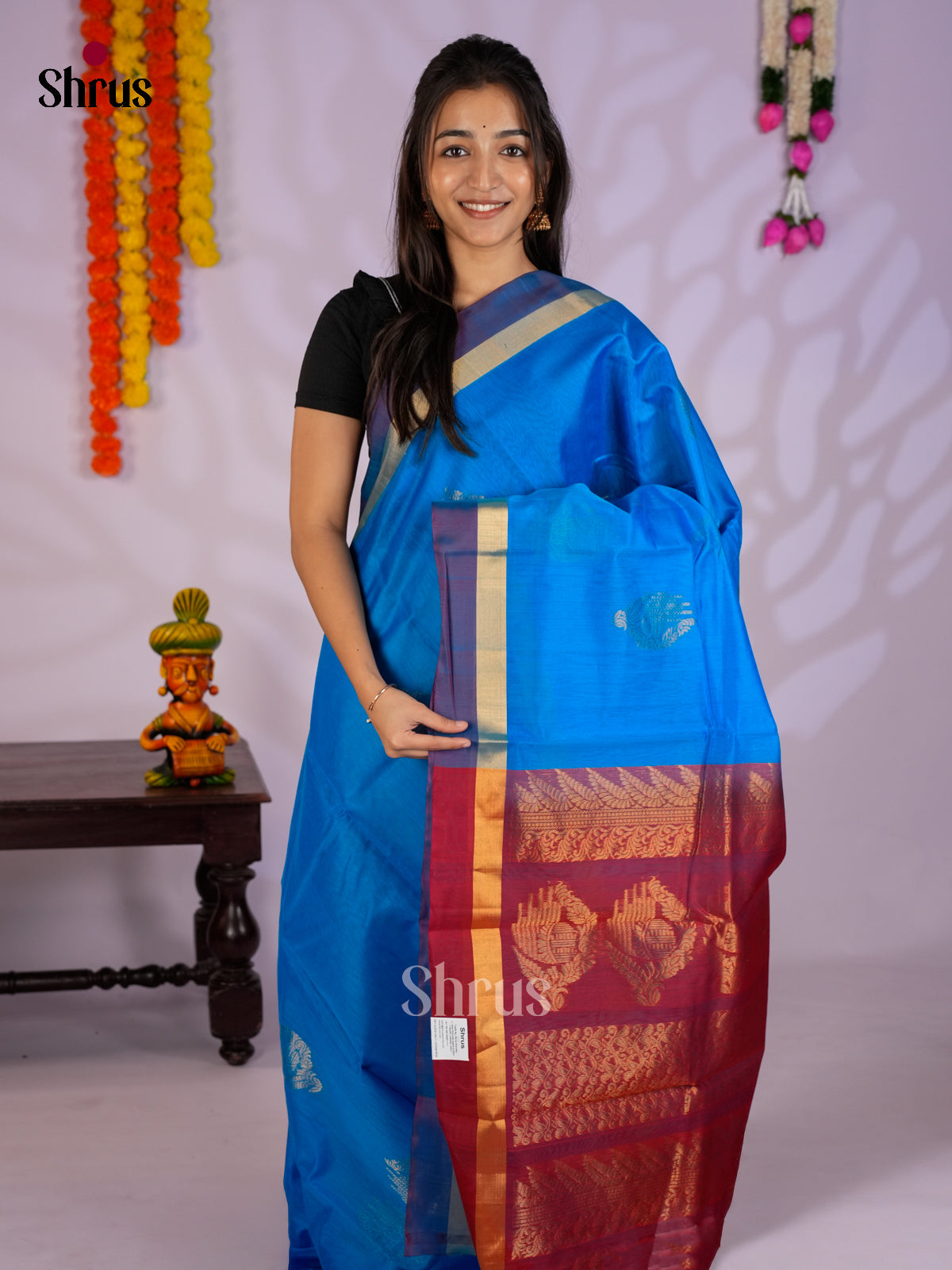 Blue & Red - Timeless Silk Cotton Saree-EAS12048