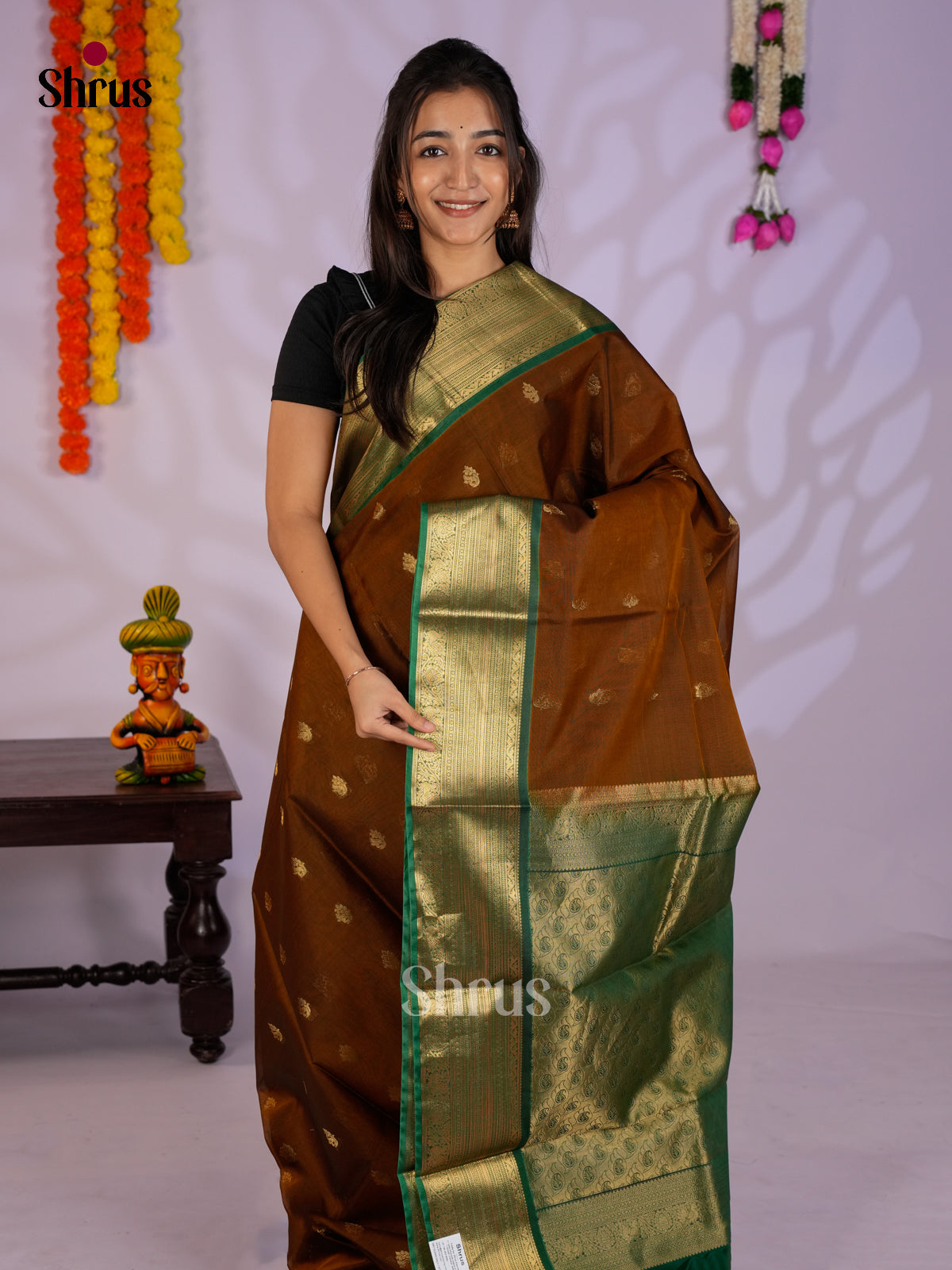 Brown & Green - Timeless Silk Cotton Saree- EAS12126