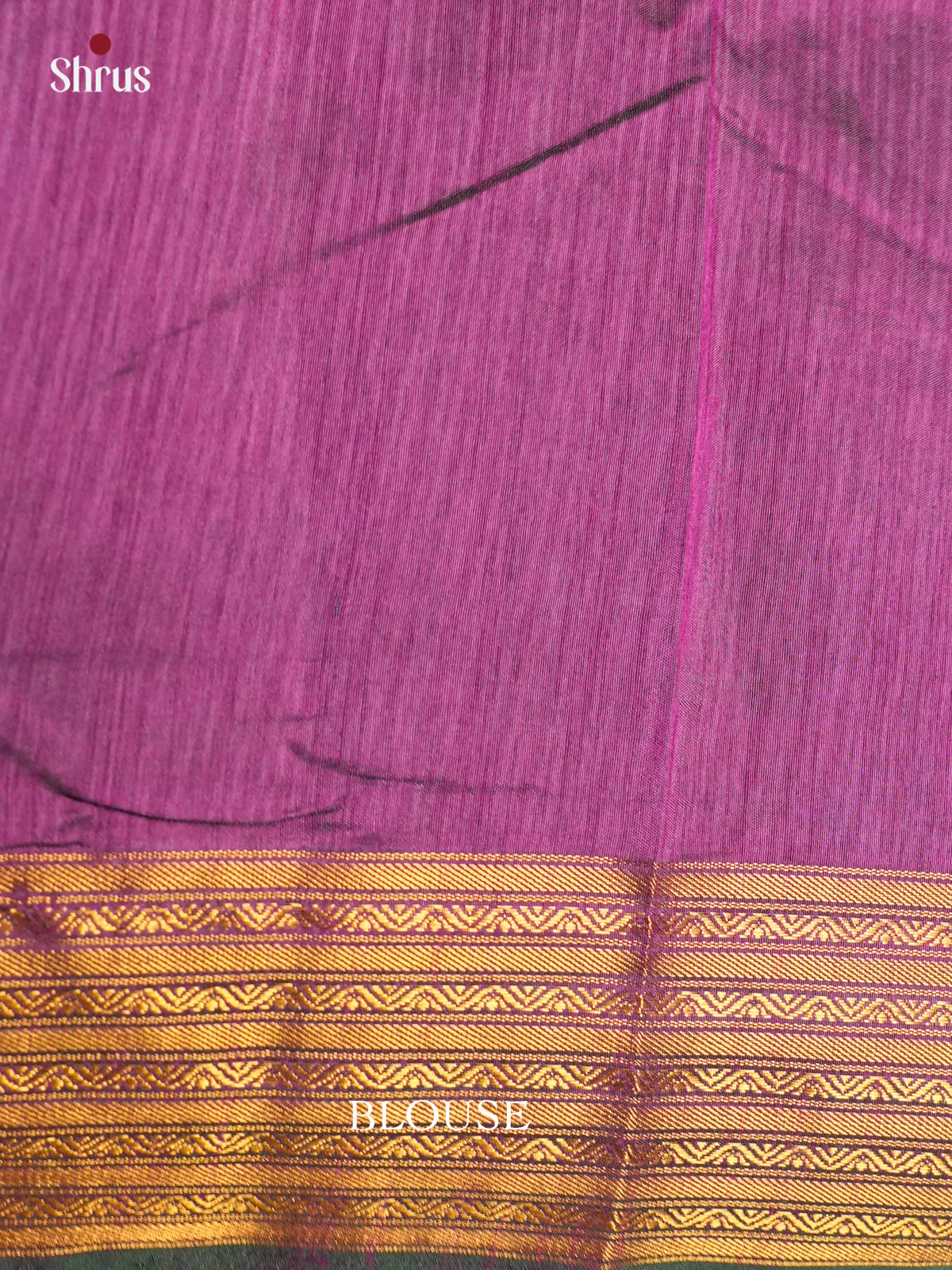 EAS12147 - Semi Patola-Regular Border Saree