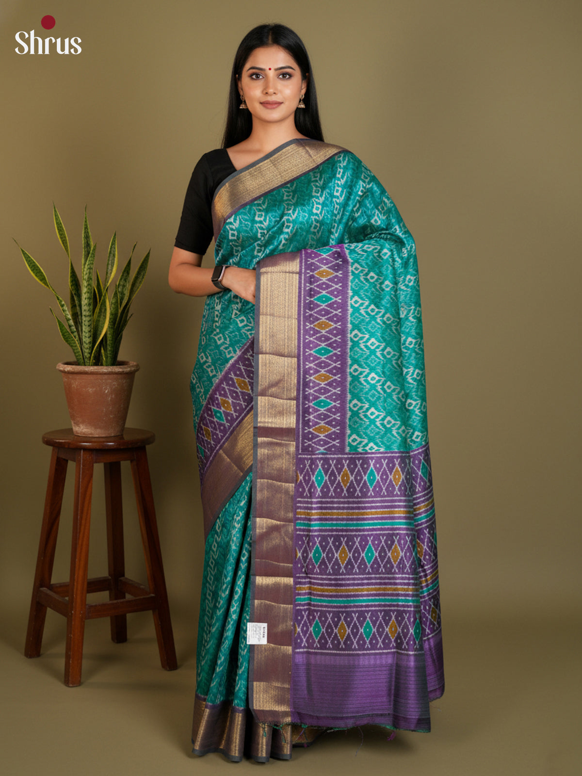 EAS12156 - Semi Patola-Regular Border Saree