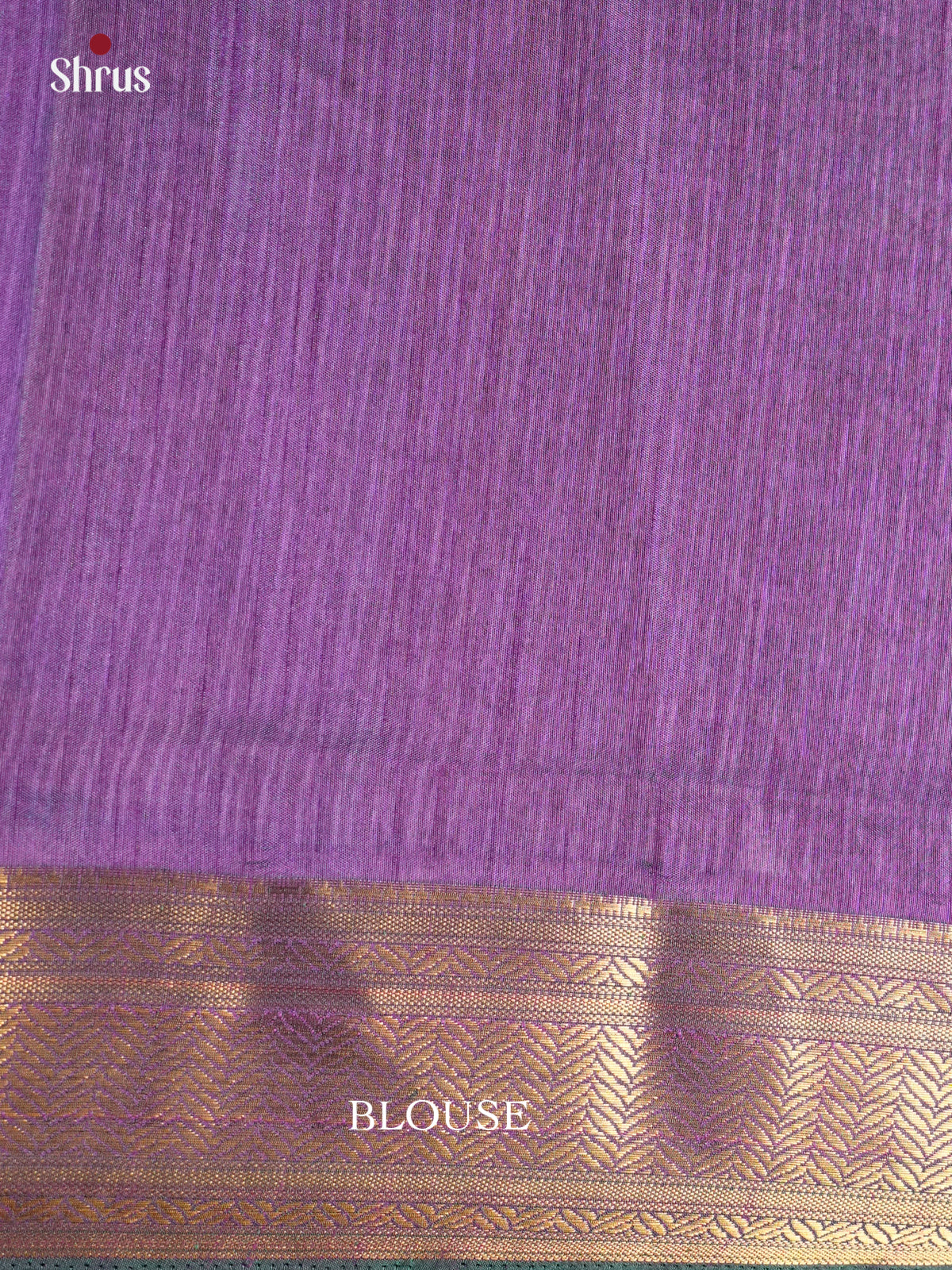 EAS12156 - Semi Patola-Regular Border Saree