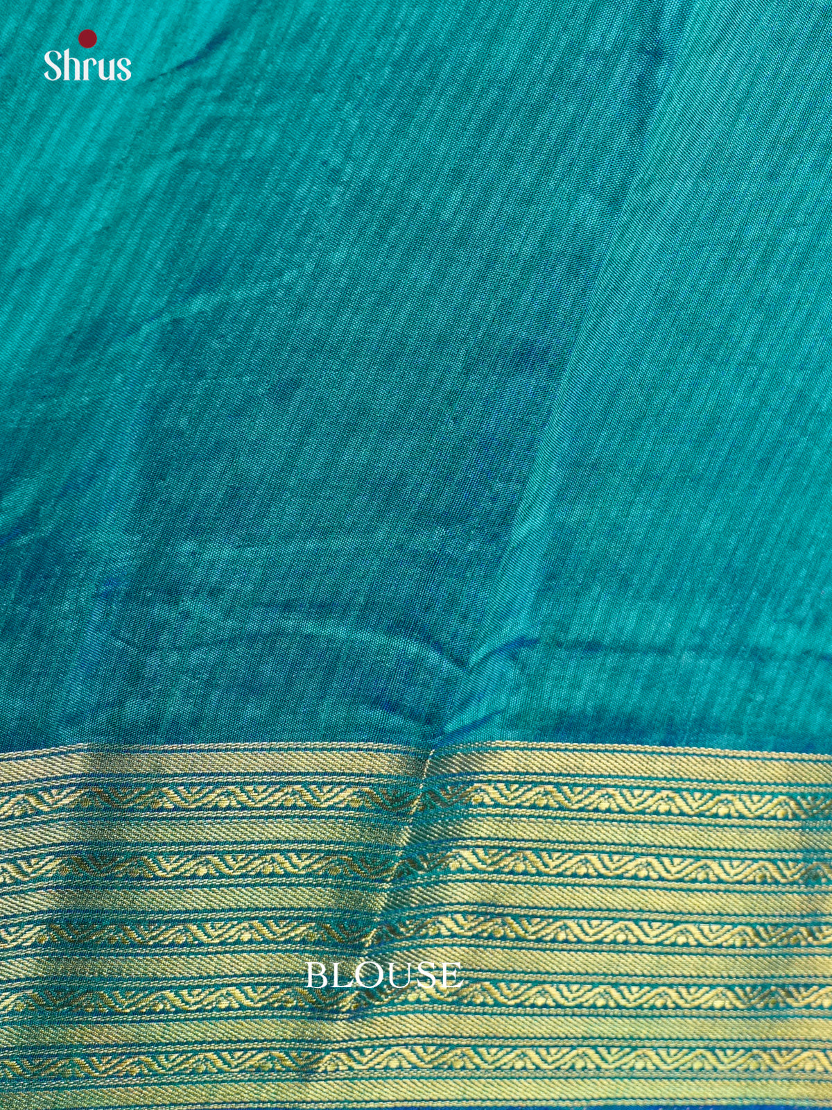 EAS12181 - Semi Patola-Regular Border Saree