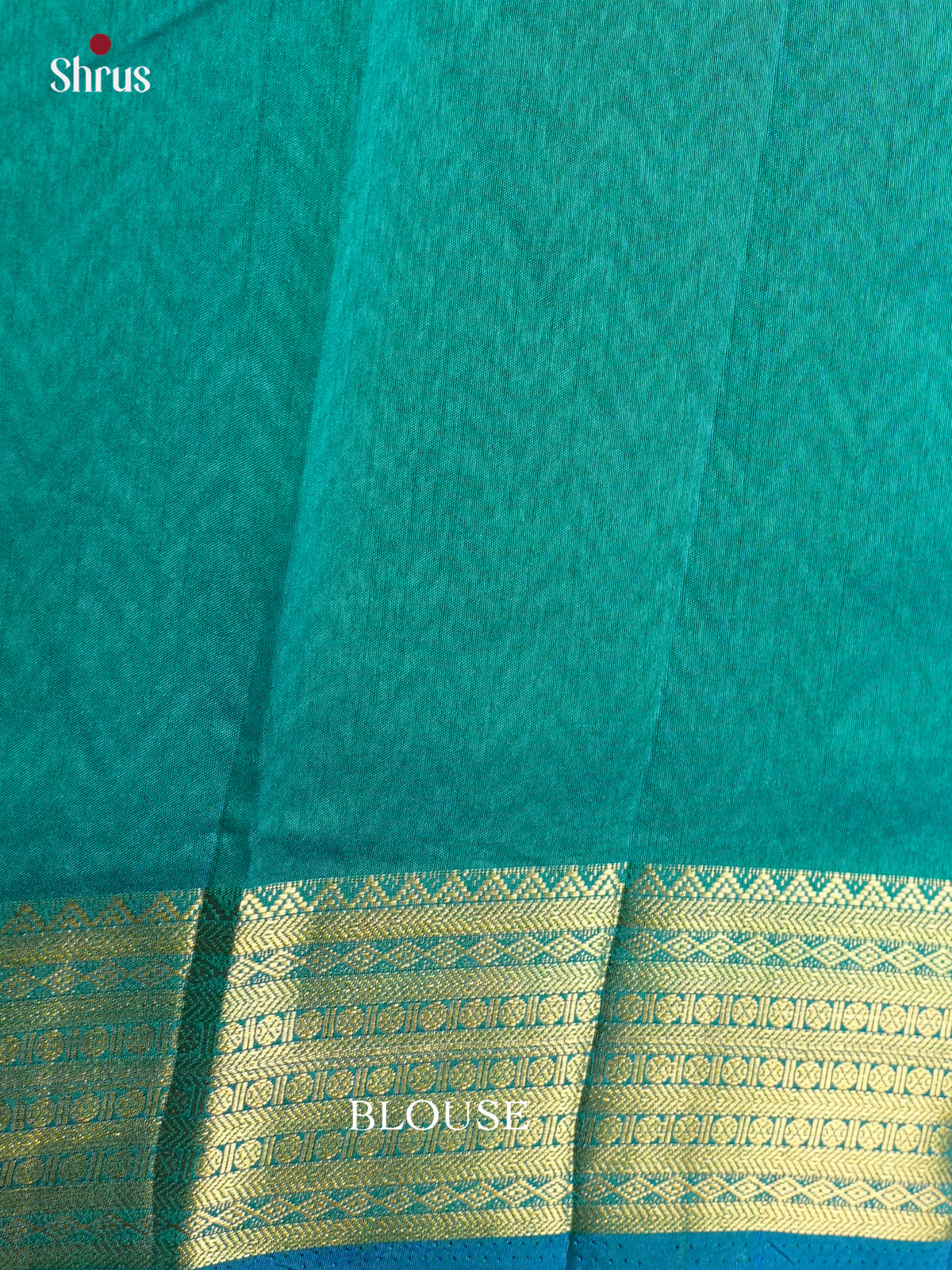 EAS12183 - Semi Patola-Regular Border Saree