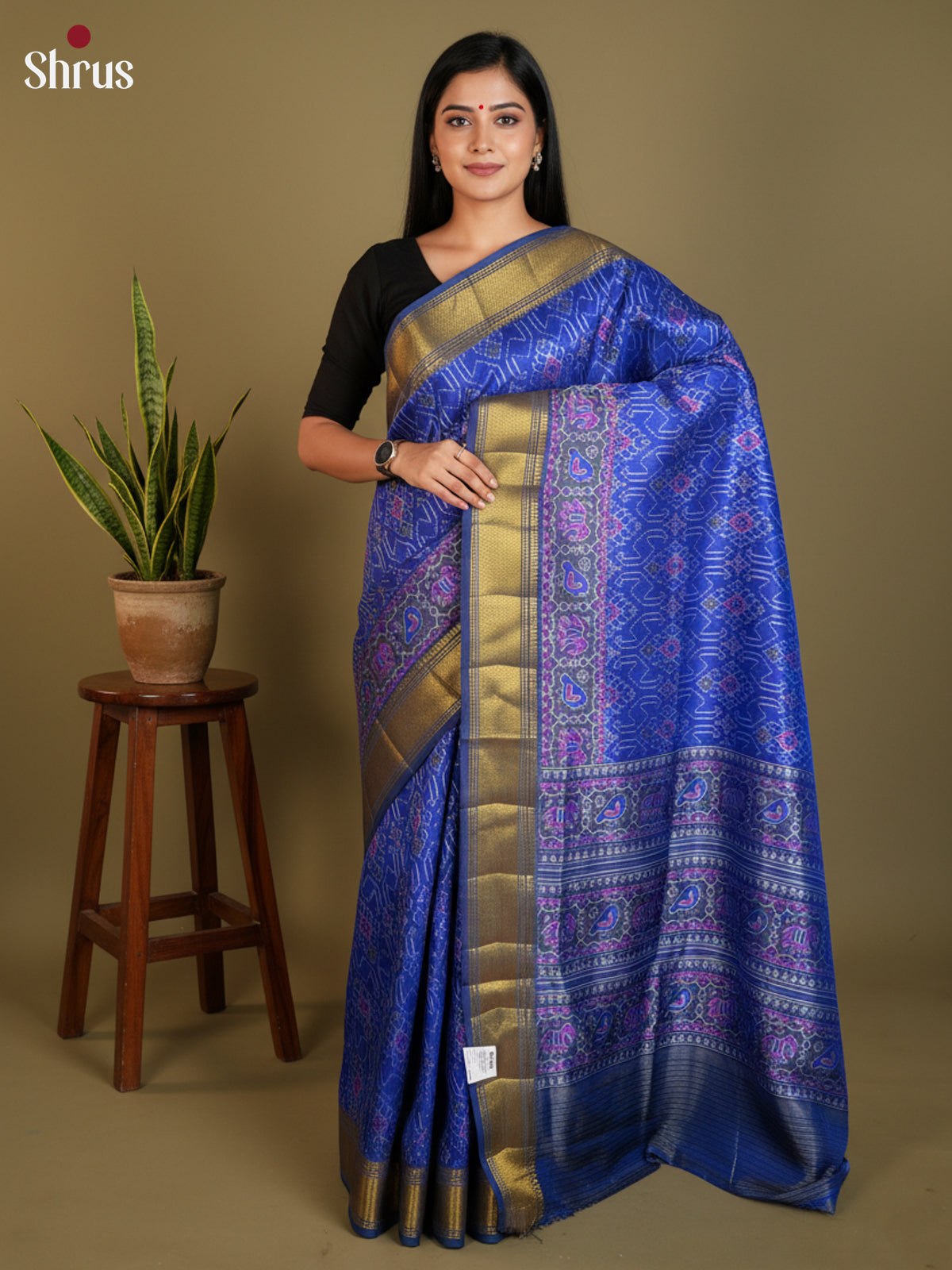 EAS12193 - Semi Patola-Regular Border Saree