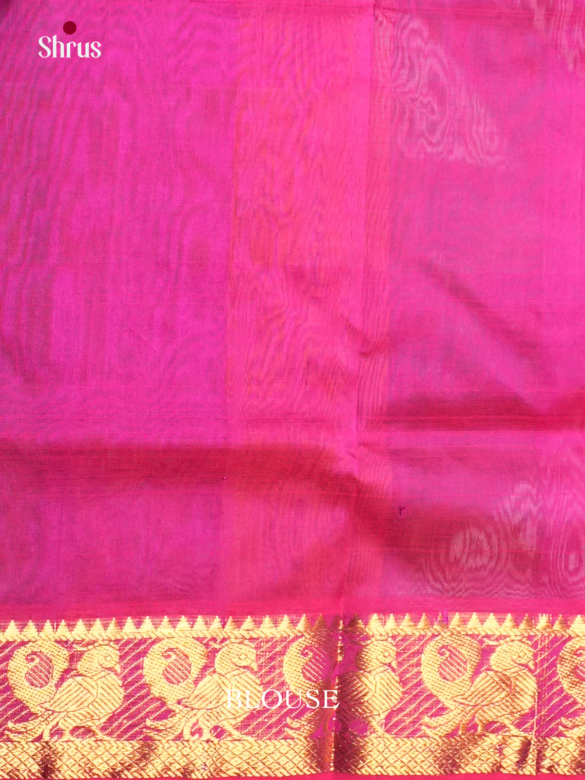 EAS13348 - Silk Cotton Saree - Shop on Shrus.com
