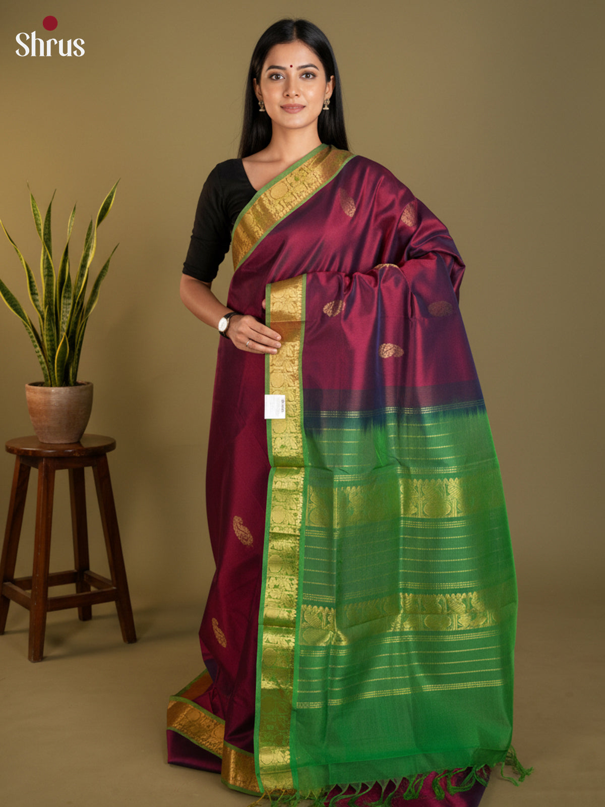 EAS13419 - silkcotton 9yards Saree
