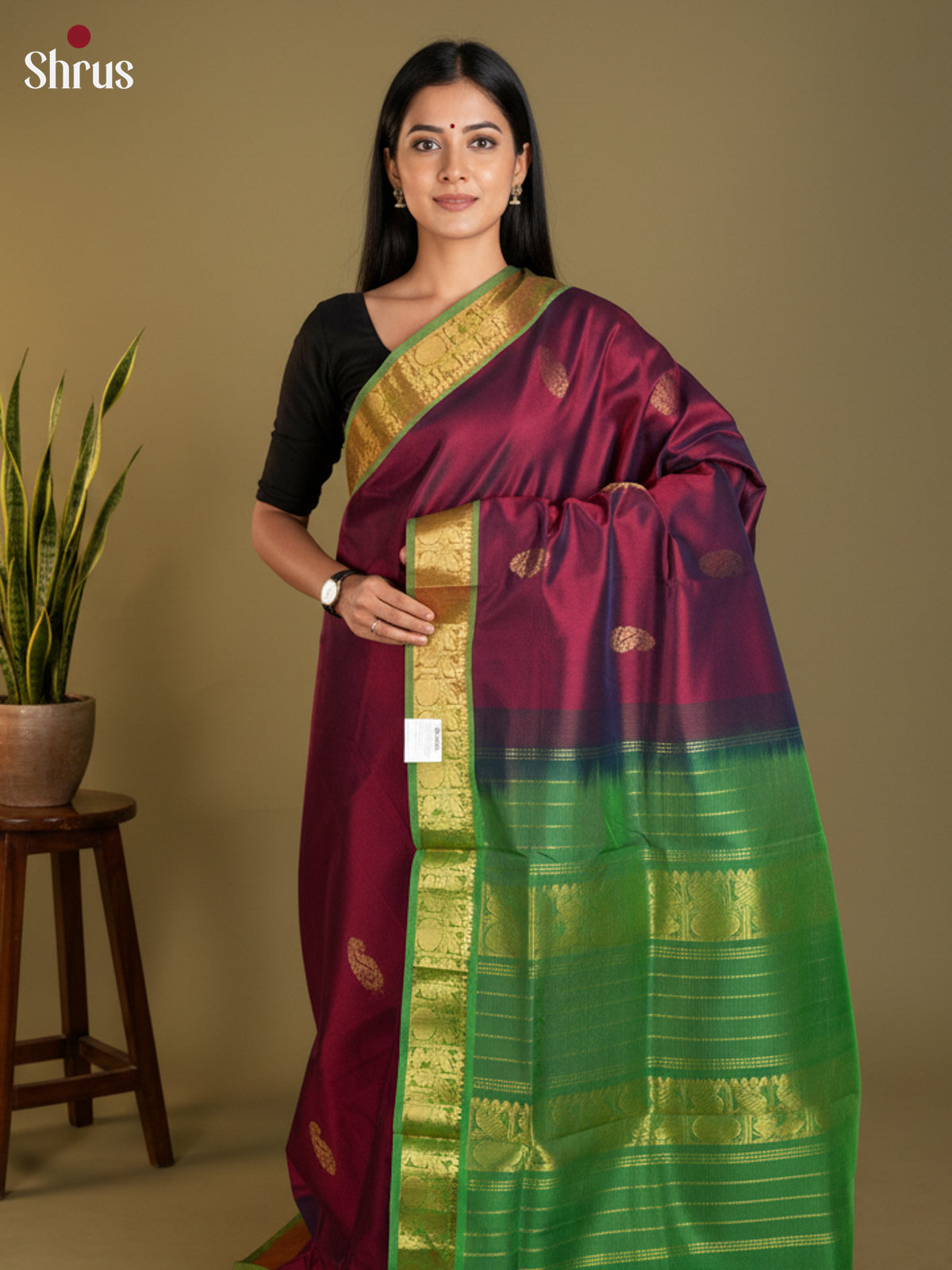 EAS13419 - silkcotton 9yards Saree