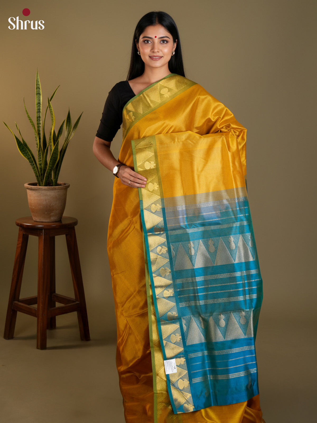 EAS13421 - silkcotton 9yards Saree - Shop on Shrus.com