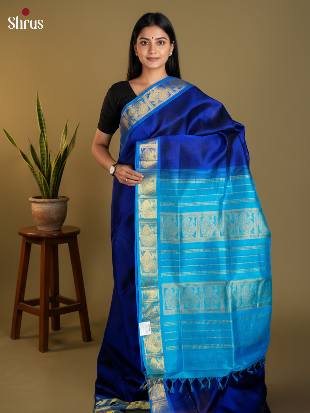 EAS13434 - silkcotton 9yards Saree - Shop on Shrus.com