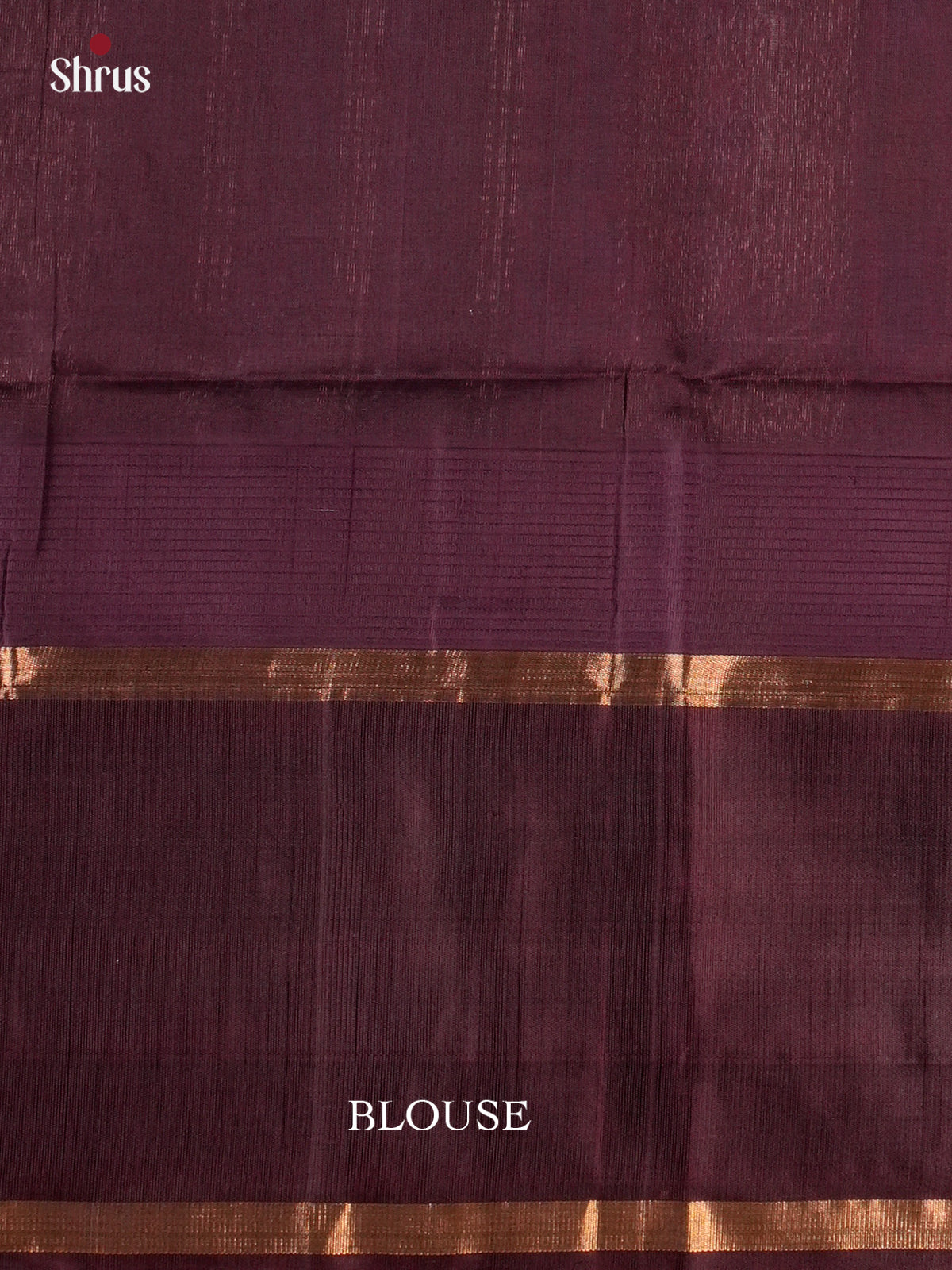 elegant Blue & Brown Silk cotton saree with elephant motifs border - EAS19022