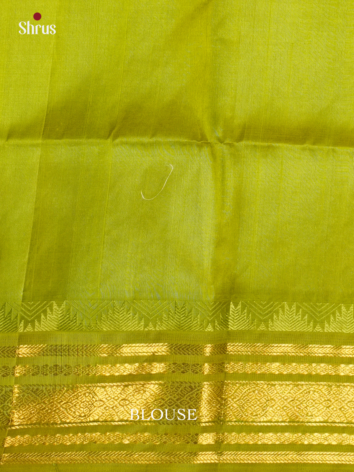 Charming Cream & Light Green Silk Cotton saree with zari checks & Korvai border- EAS19034 -
