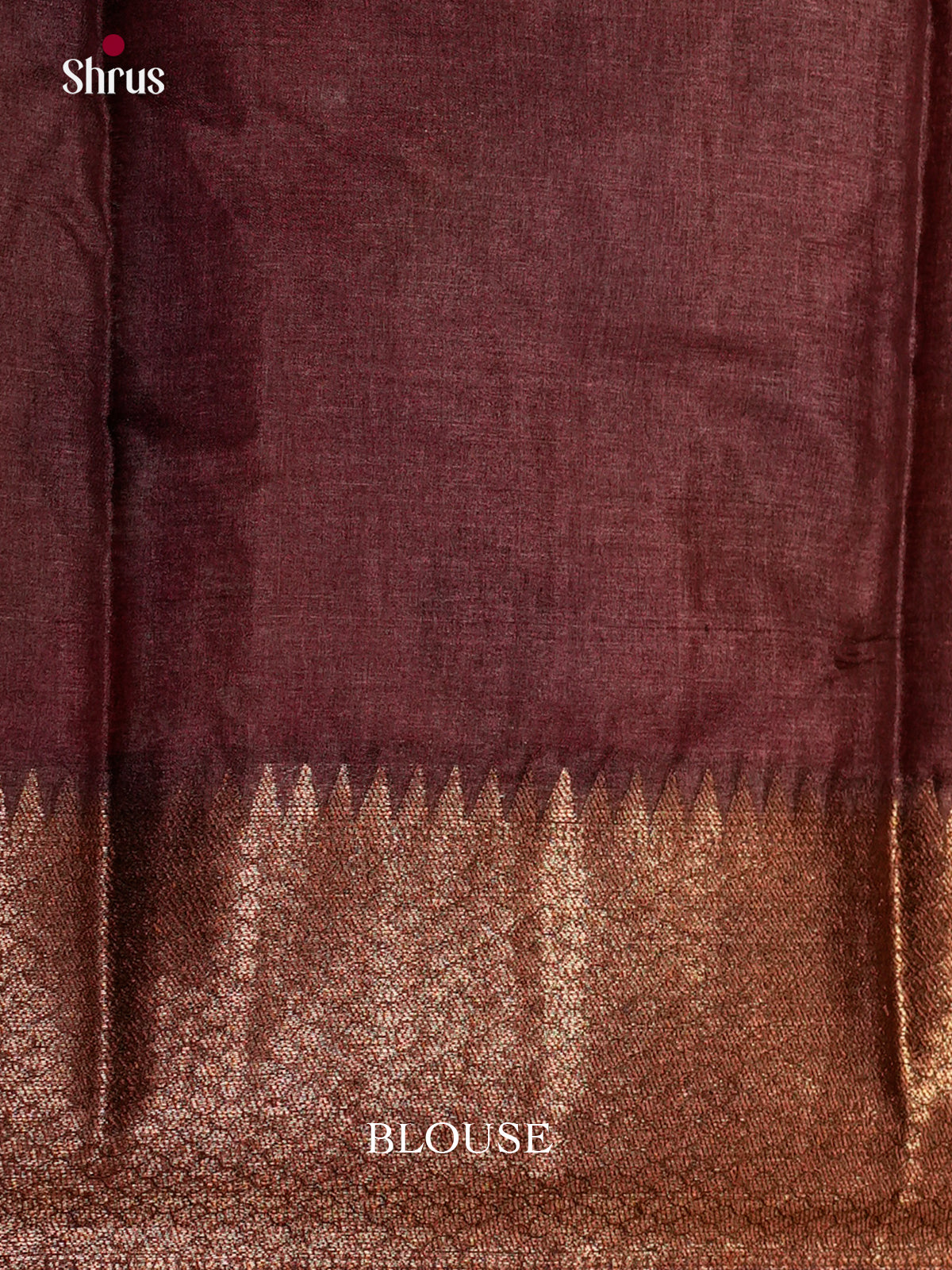 Radiant Orange & Brown Banarasi Tussar Saree gleams with zari floral motifs - EAS20023 - Shop on Shrus.com