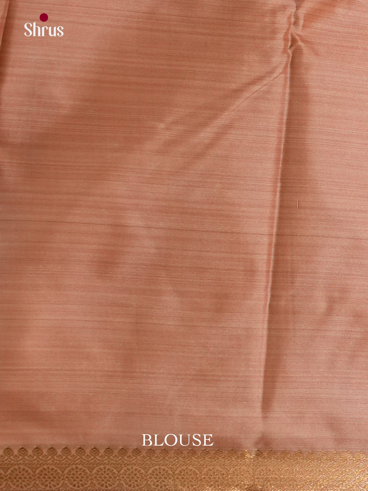 EAS21189 - Kanchipuram-halfpure Saree - Shop on Shrus.com