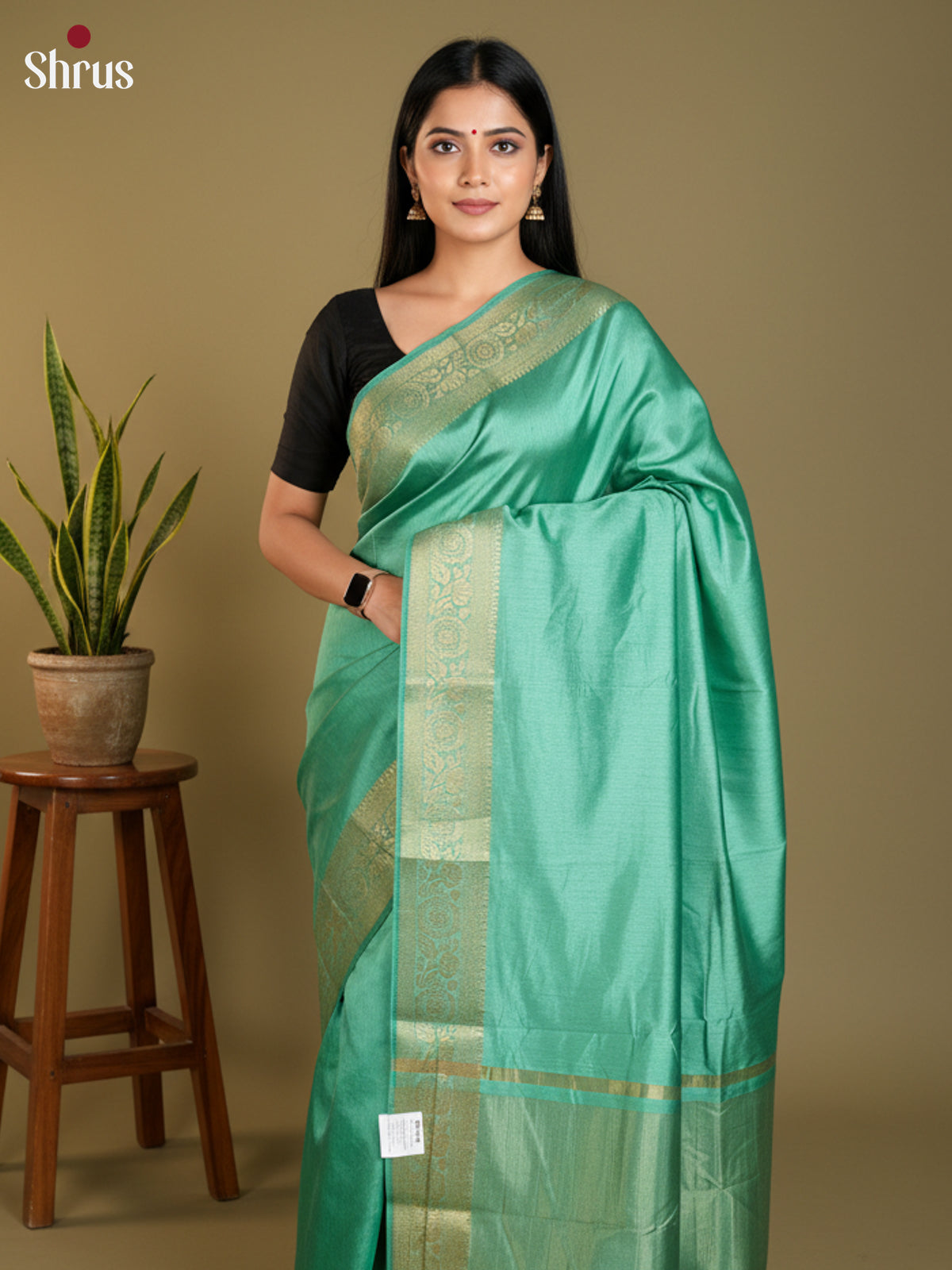 Pastel green - Semi Rawsilk Saree - EAS21260 - Shop on Shrus.com
