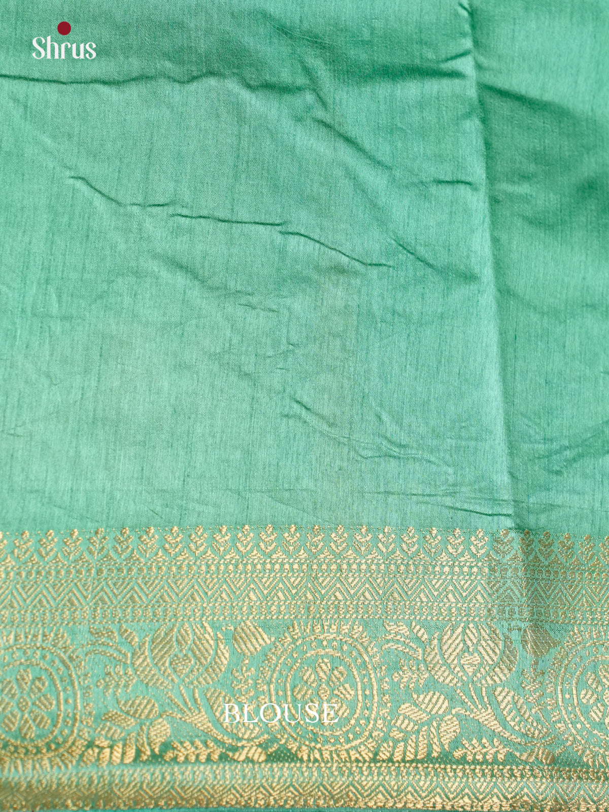 Pastel green - Semi Rawsilk Saree - EAS21260 - Shop on Shrus.com