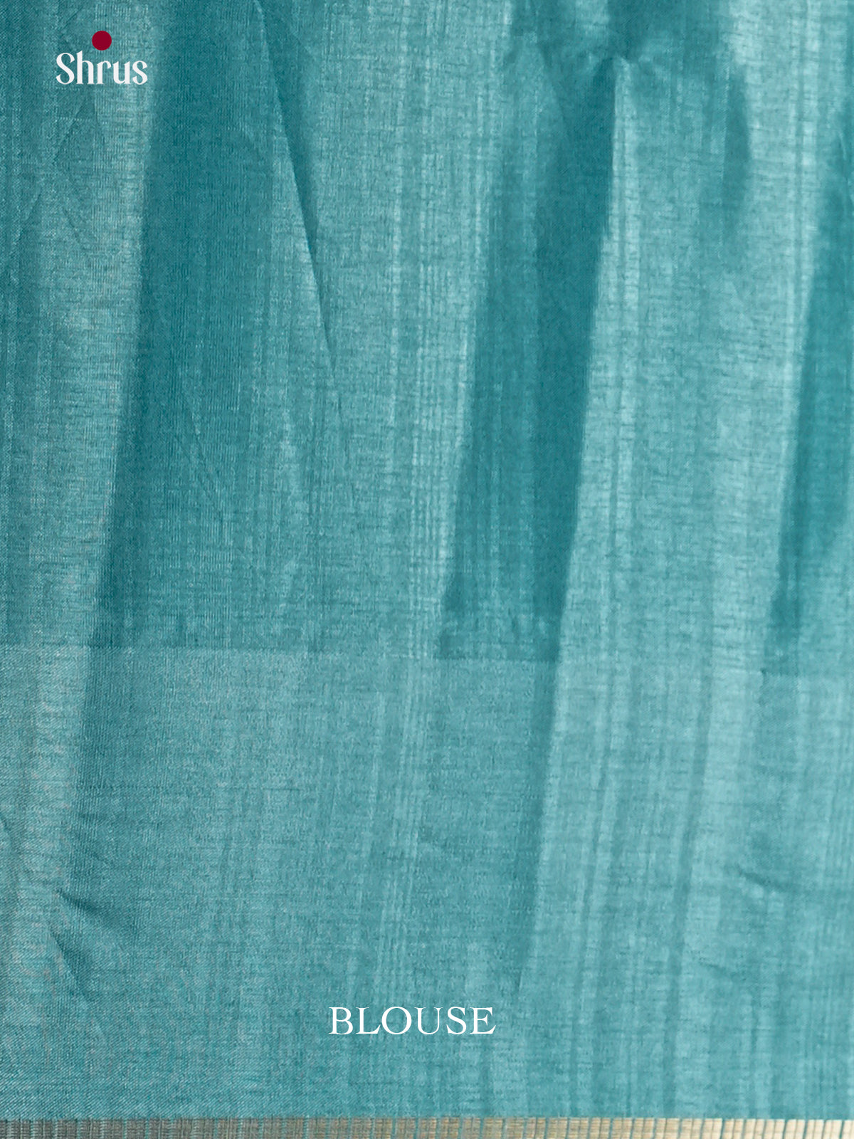 Sky Blue - Semi Rawsilk - Saree-EAS22014 - Shop on Shrus.com