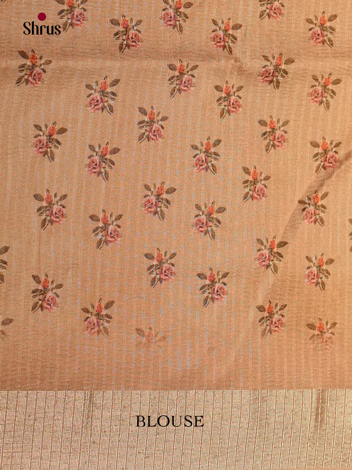 Dusty Brown - Semi Rawsilk - Saree- EAS22047 - Shop on Shrus.com