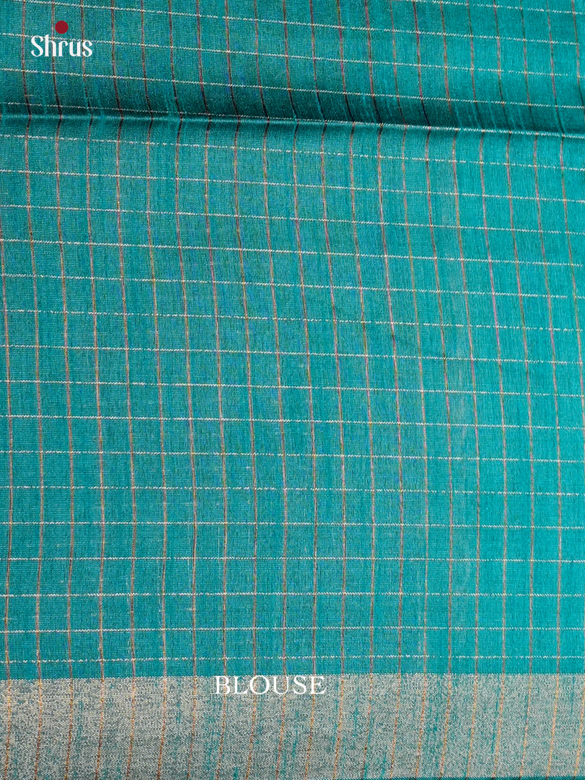 Dark & Light Blue - Semi Rawsilk - Saree-EAS24100 - Shop on Shrus.com